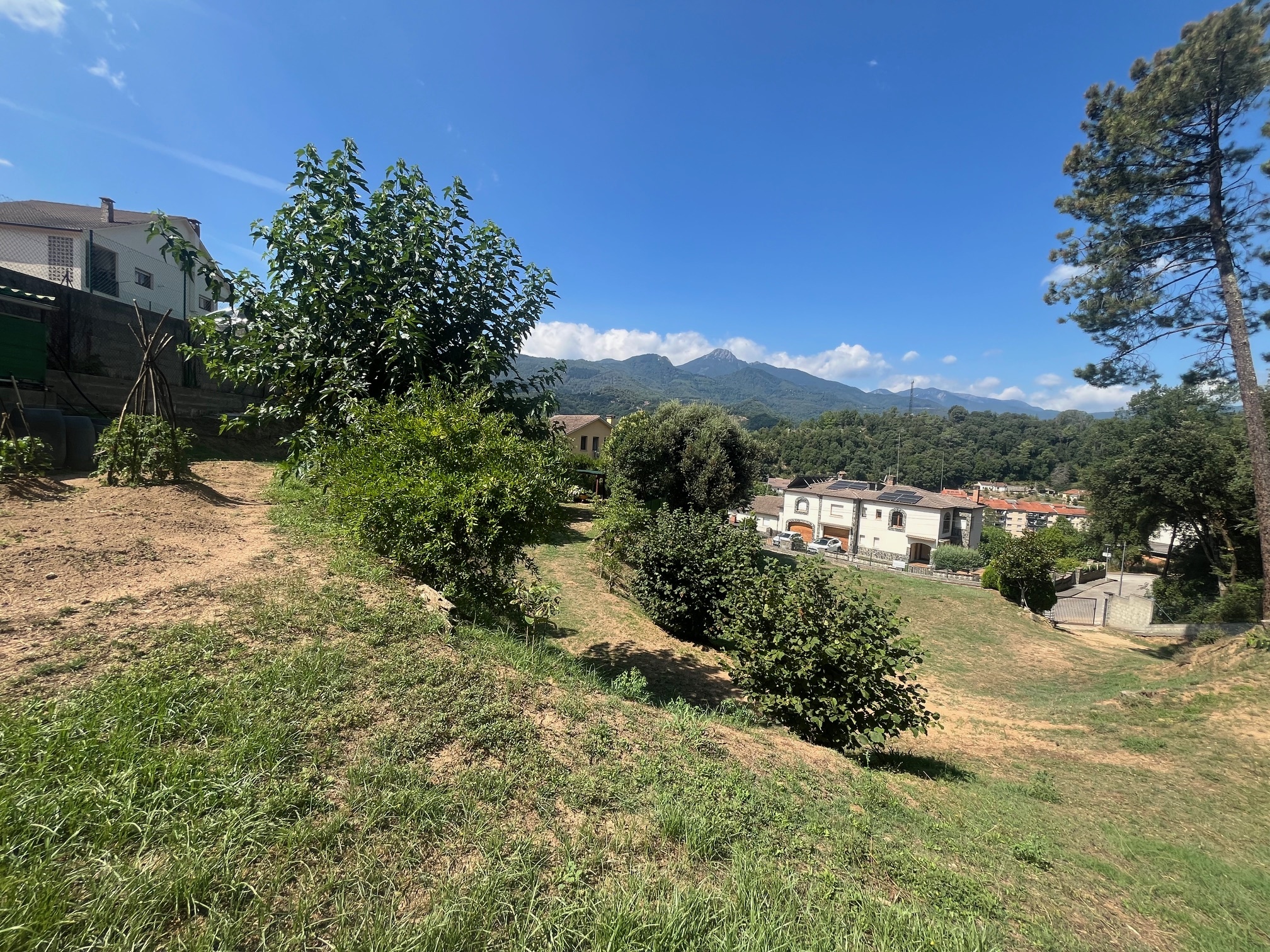Negocios-Venta-ArbÃºcies-1893757-Foto-19