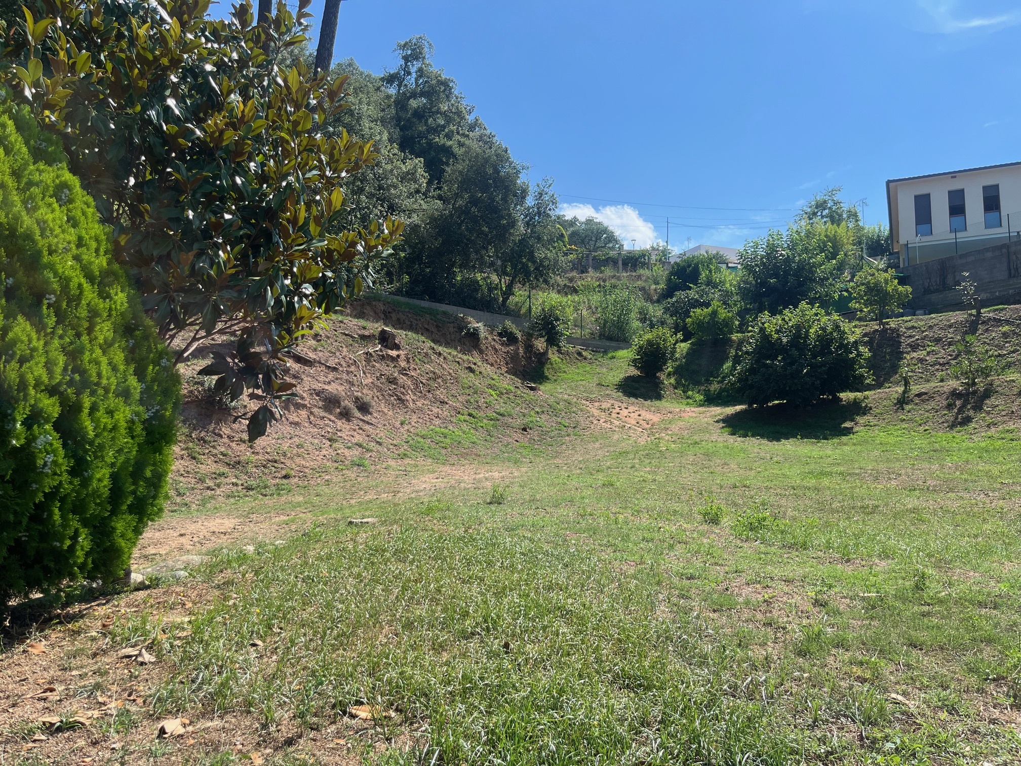 Negocios-Venta-ArbÃºcies-1893757-Foto-21