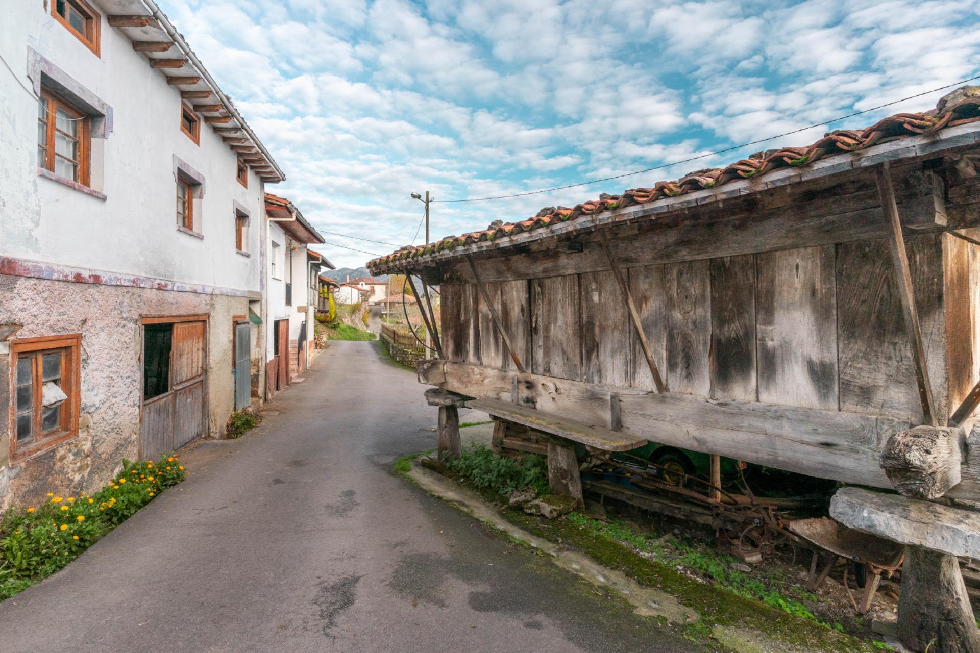 Casas o chalets-Venta-PiloÃ±a-1995216-Foto-31