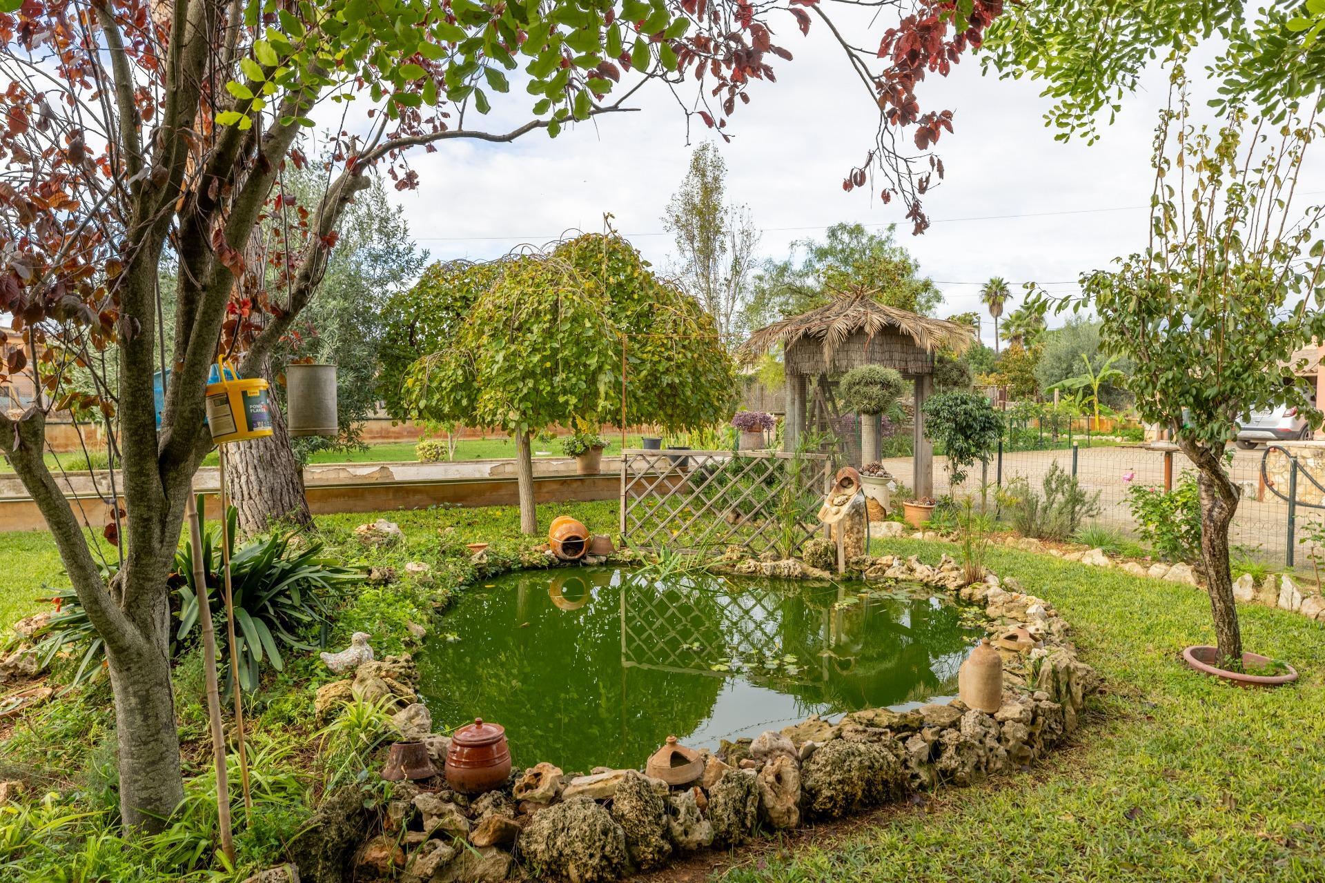 Casas o chalets-Venta-Santa MarÃ­a del CamÃ­-1978840-Foto-2