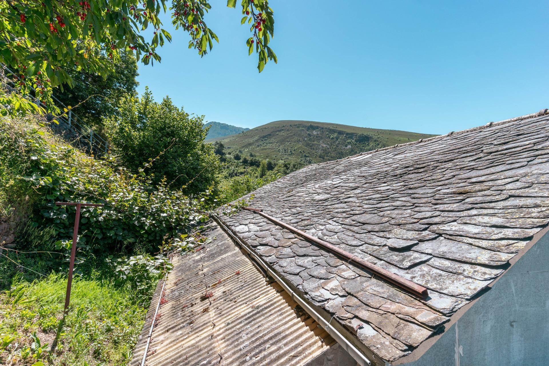 Casas o chalets-Venta-Ibias-2010245-Foto-27