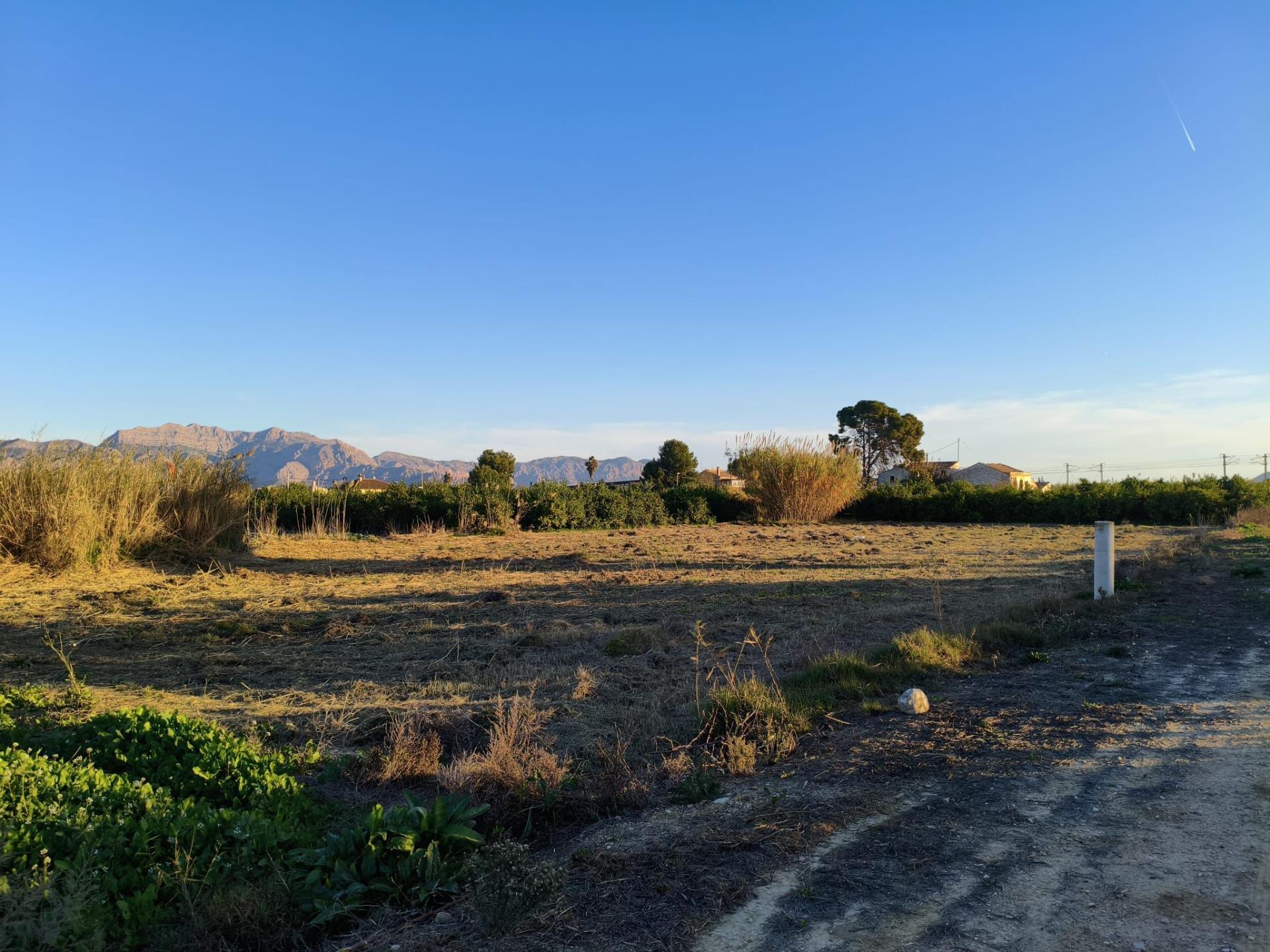Fincas y solares-Venta-Murcia-2010197