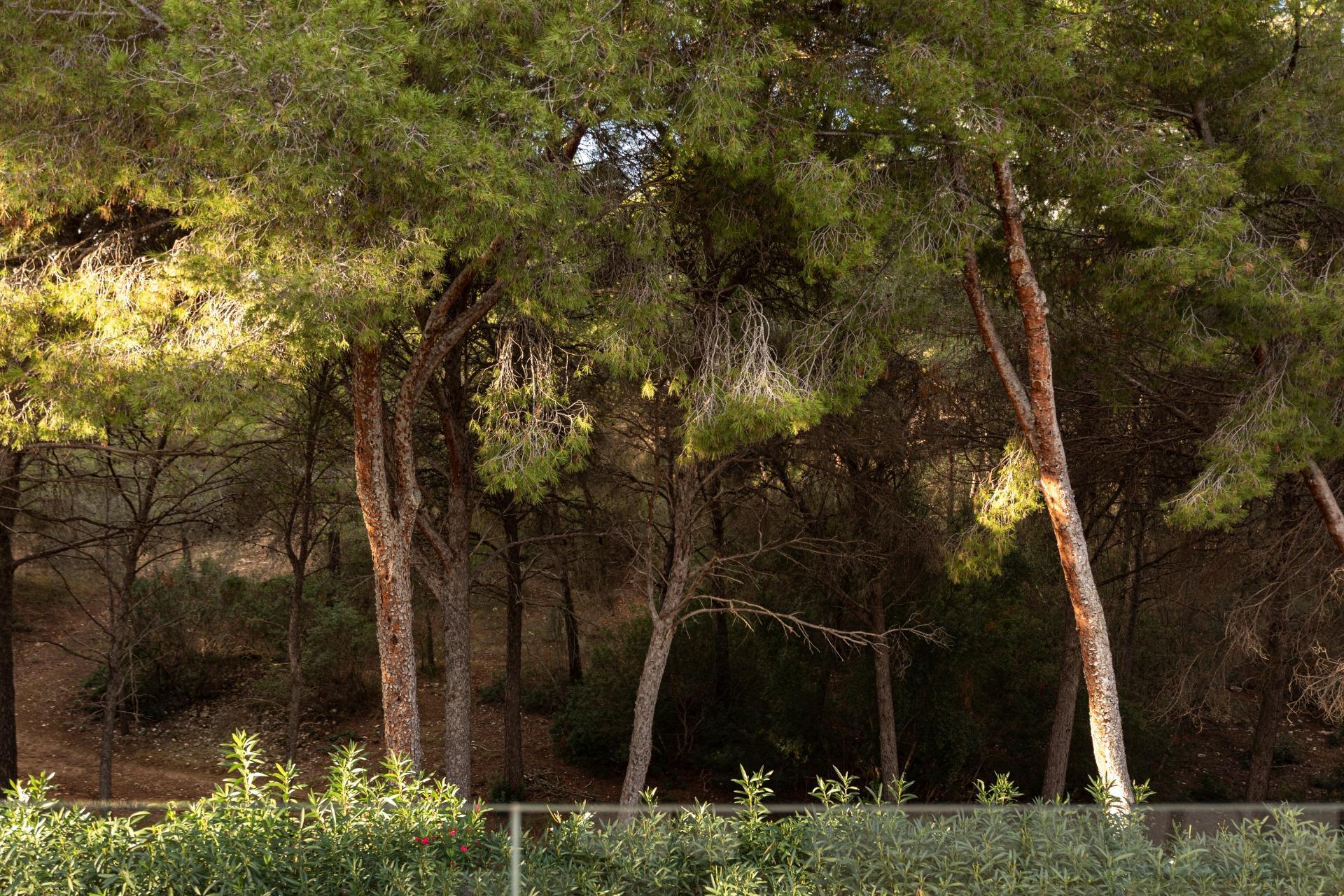 Casa en venta en Calvià 55/61