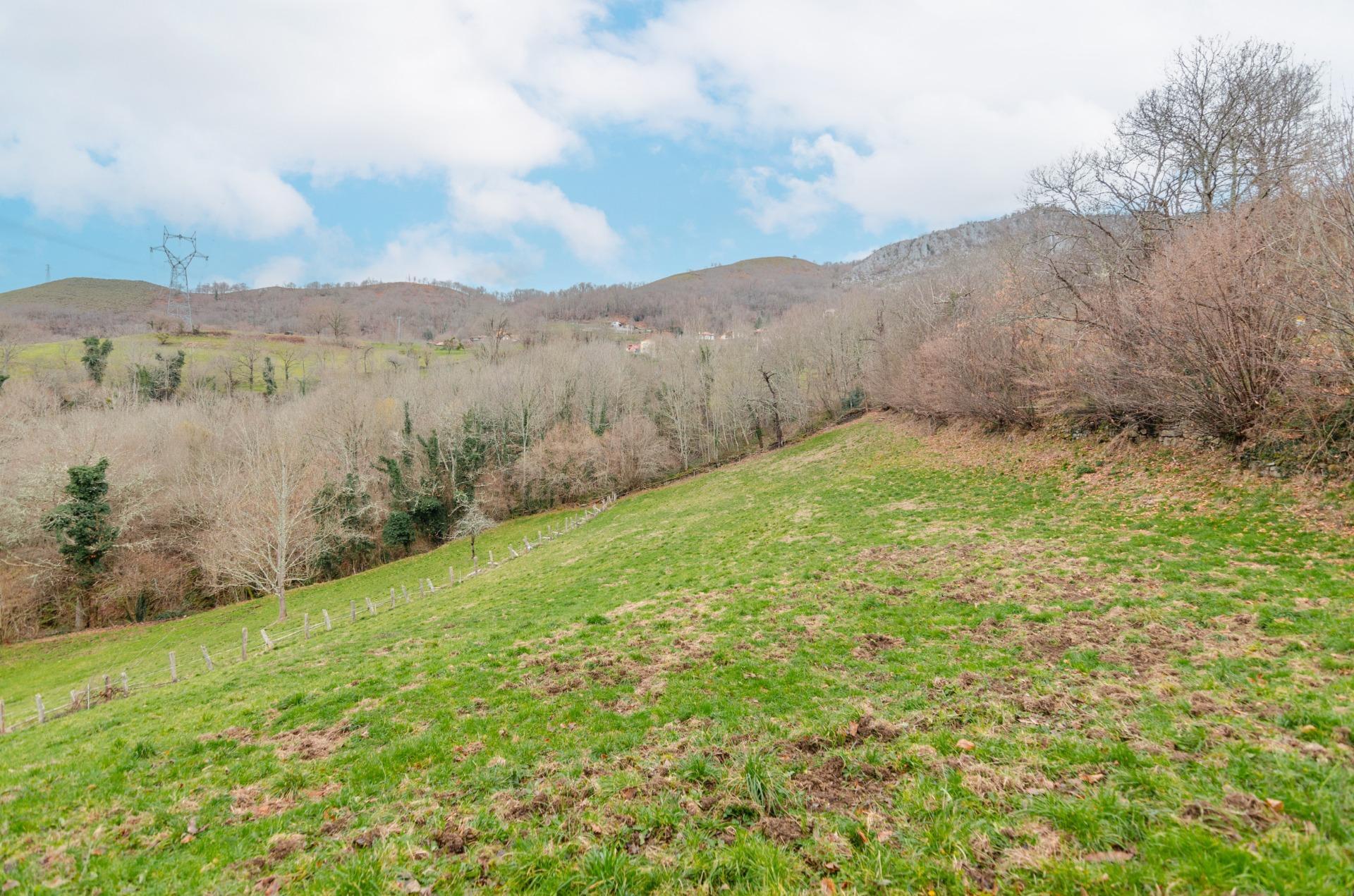 Fincas y solares-Venta-Sobrescobio-2033144-Foto-8