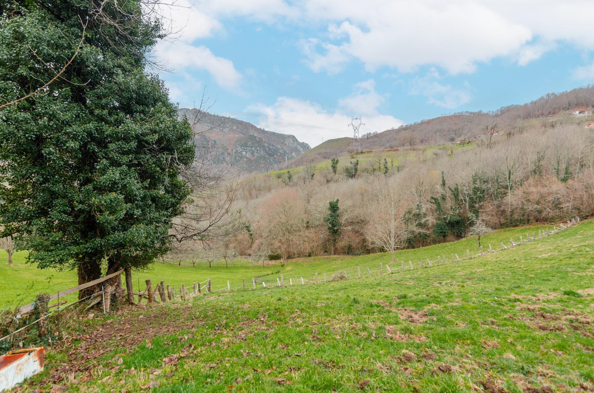 Fincas y solares-Venta-Sobrescobio-2033144-Foto-2