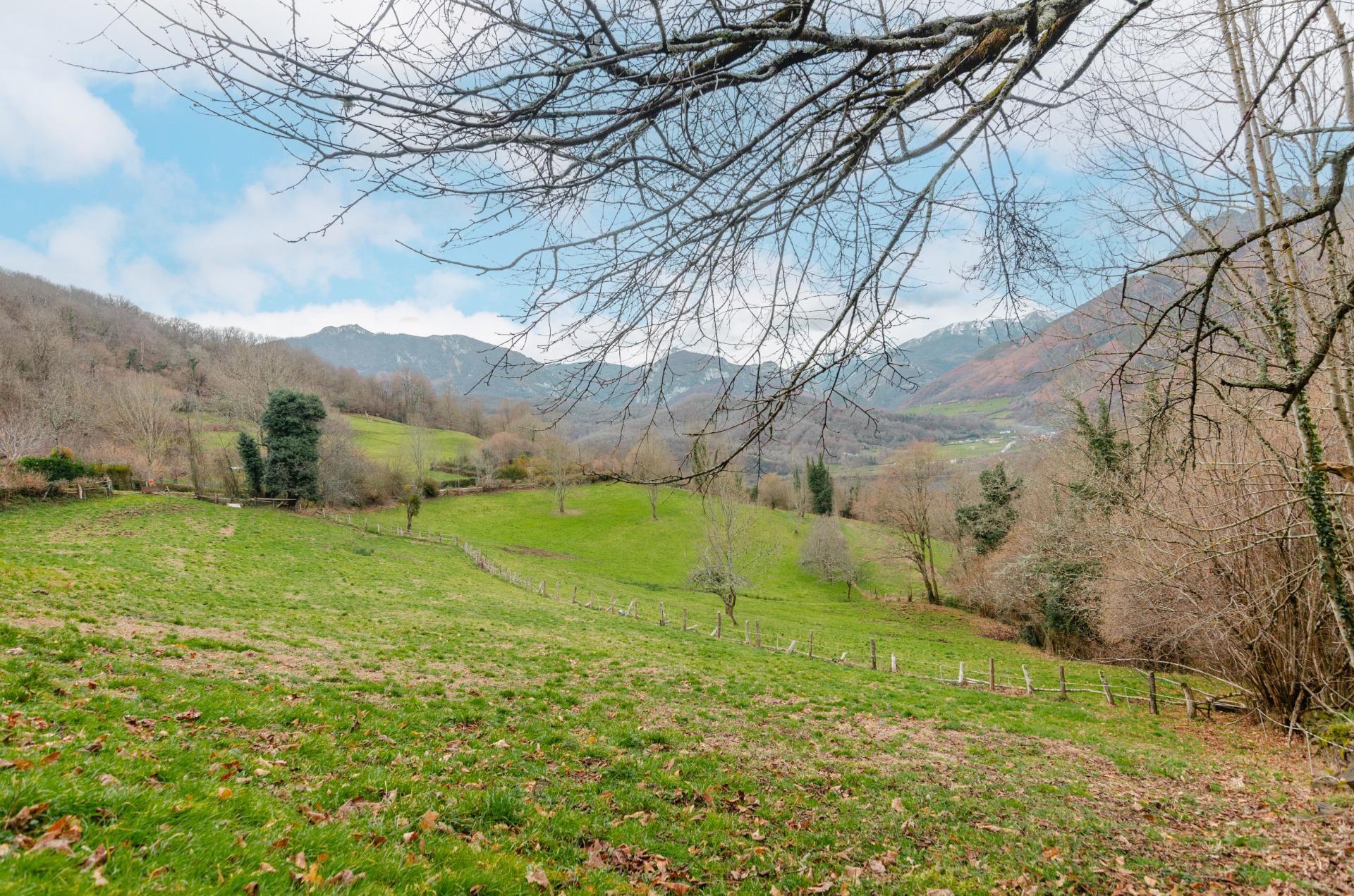 Fincas y solares-Venta-Sobrescobio-2033144