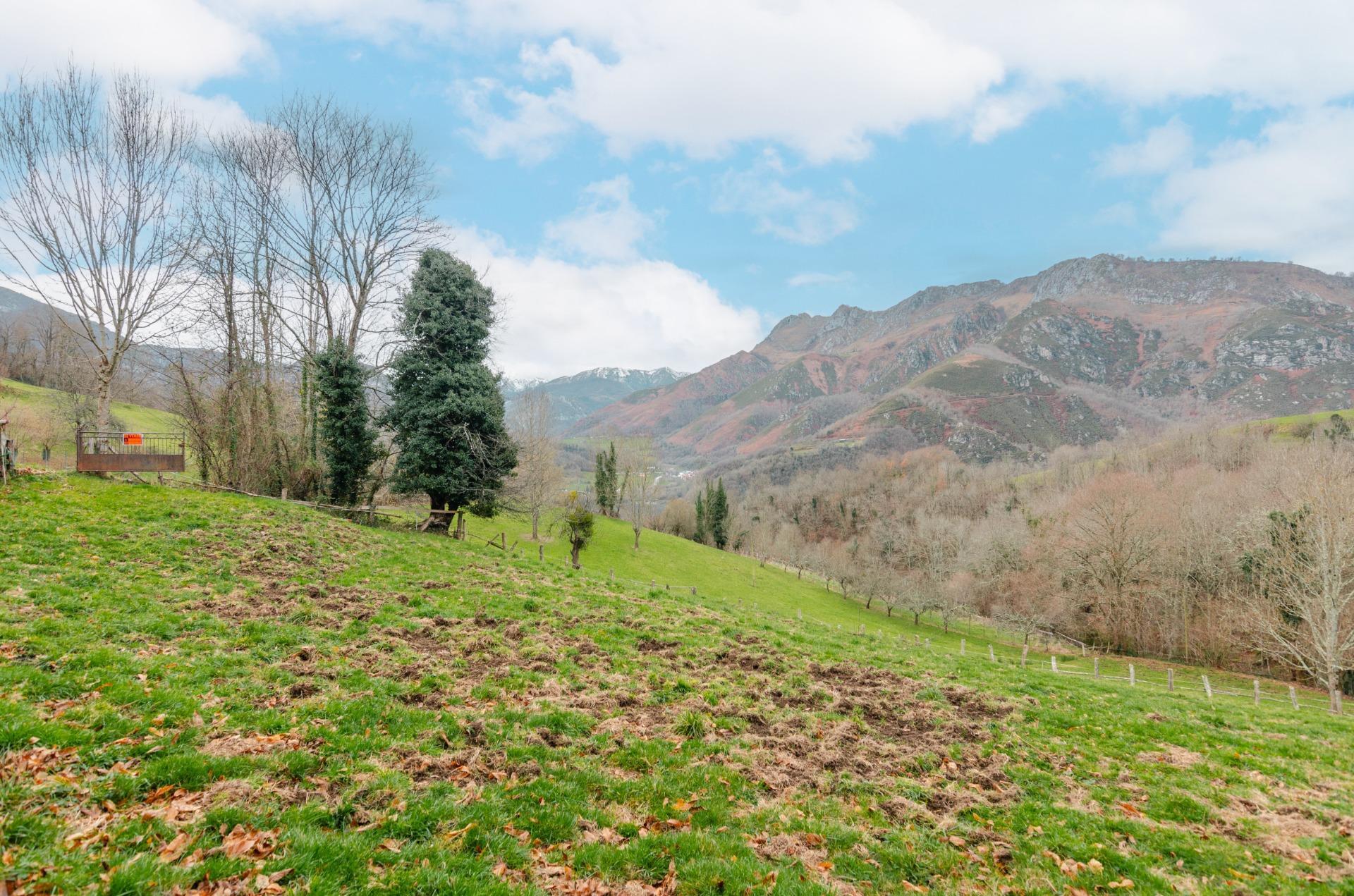 Fincas y solares-Venta-Sobrescobio-2033144-Foto-11