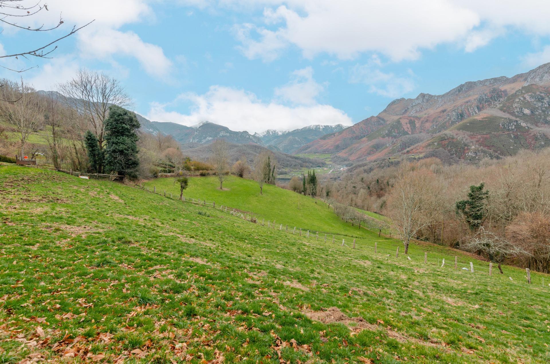 Fincas y solares-Venta-Sobrescobio-2033144-Foto-17