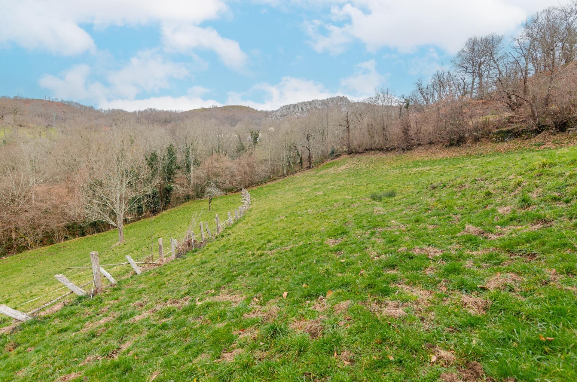 Fincas y solares-Venta-Sobrescobio-2033144-Foto-28