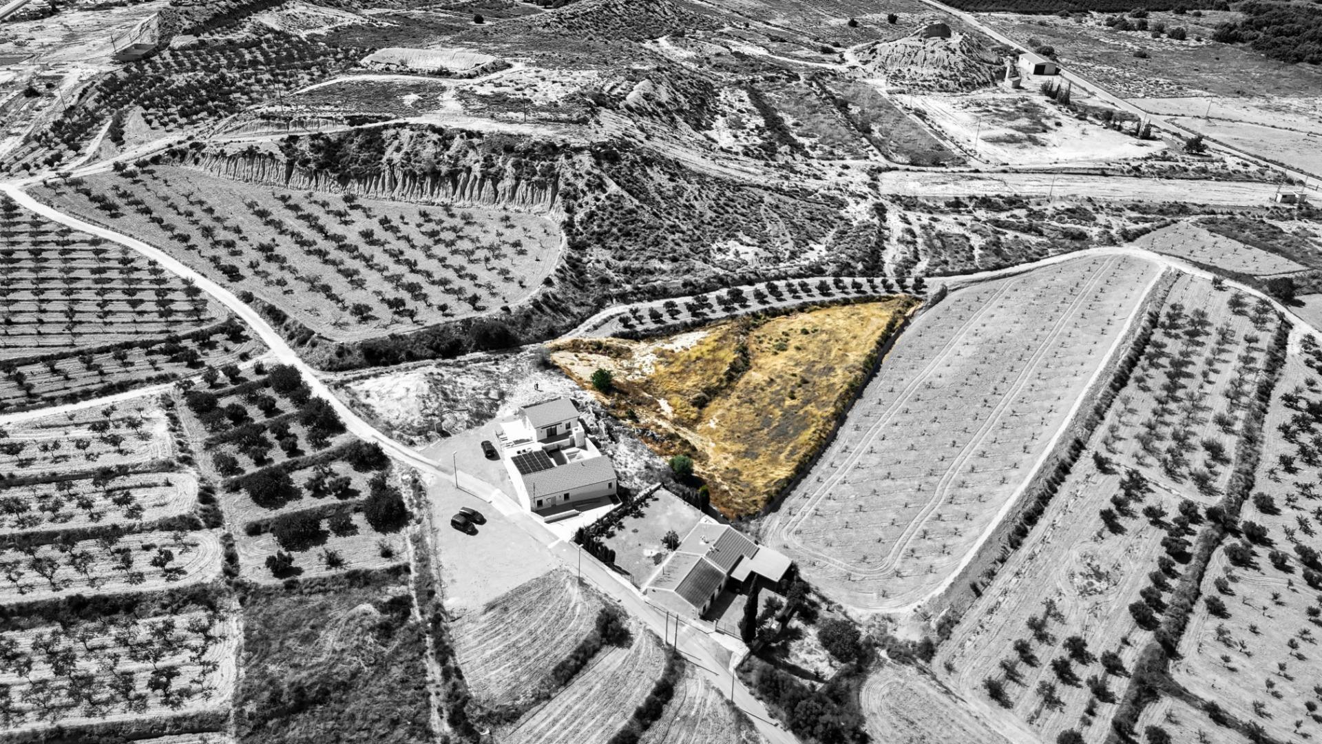 Fincas y solares-Venta-Murcia-1768784