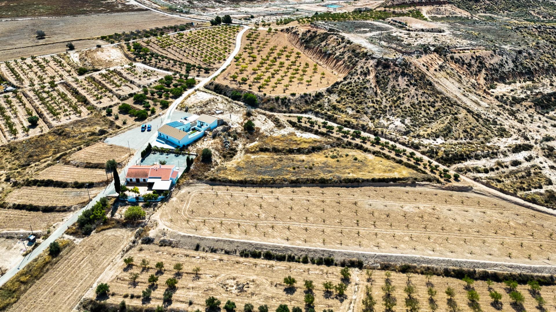 Fincas y solares-Venta-Murcia-1768784-Foto-6