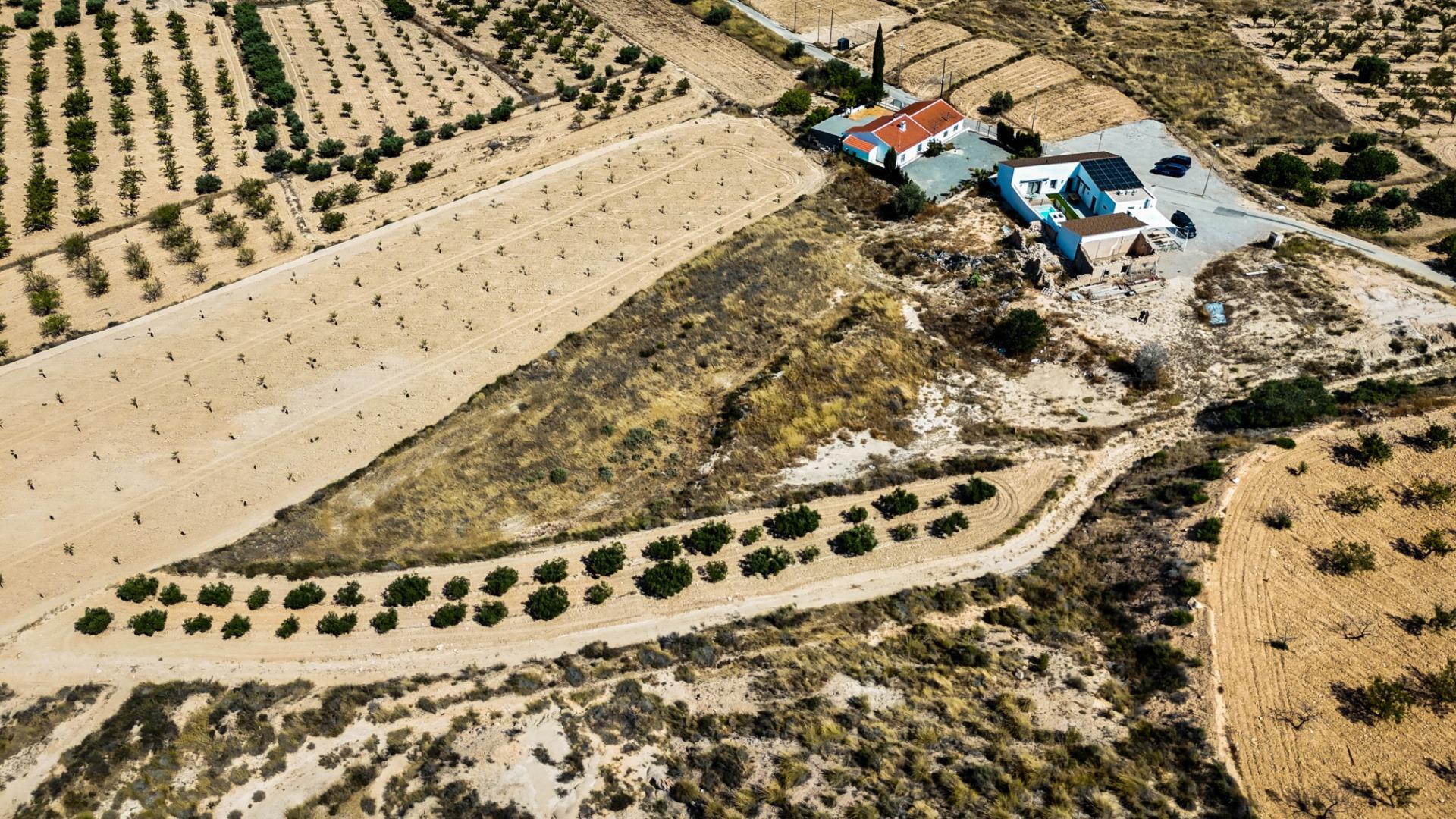 Fincas y solares-Venta-Murcia-1768784-Foto-7