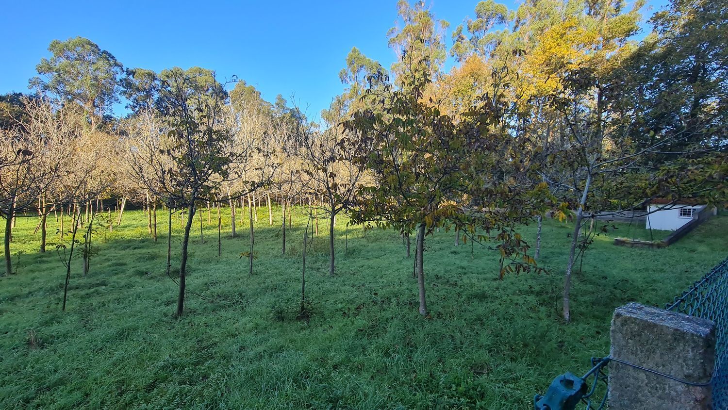 Suelo en venta, Valdemiñotos, Pontevedra