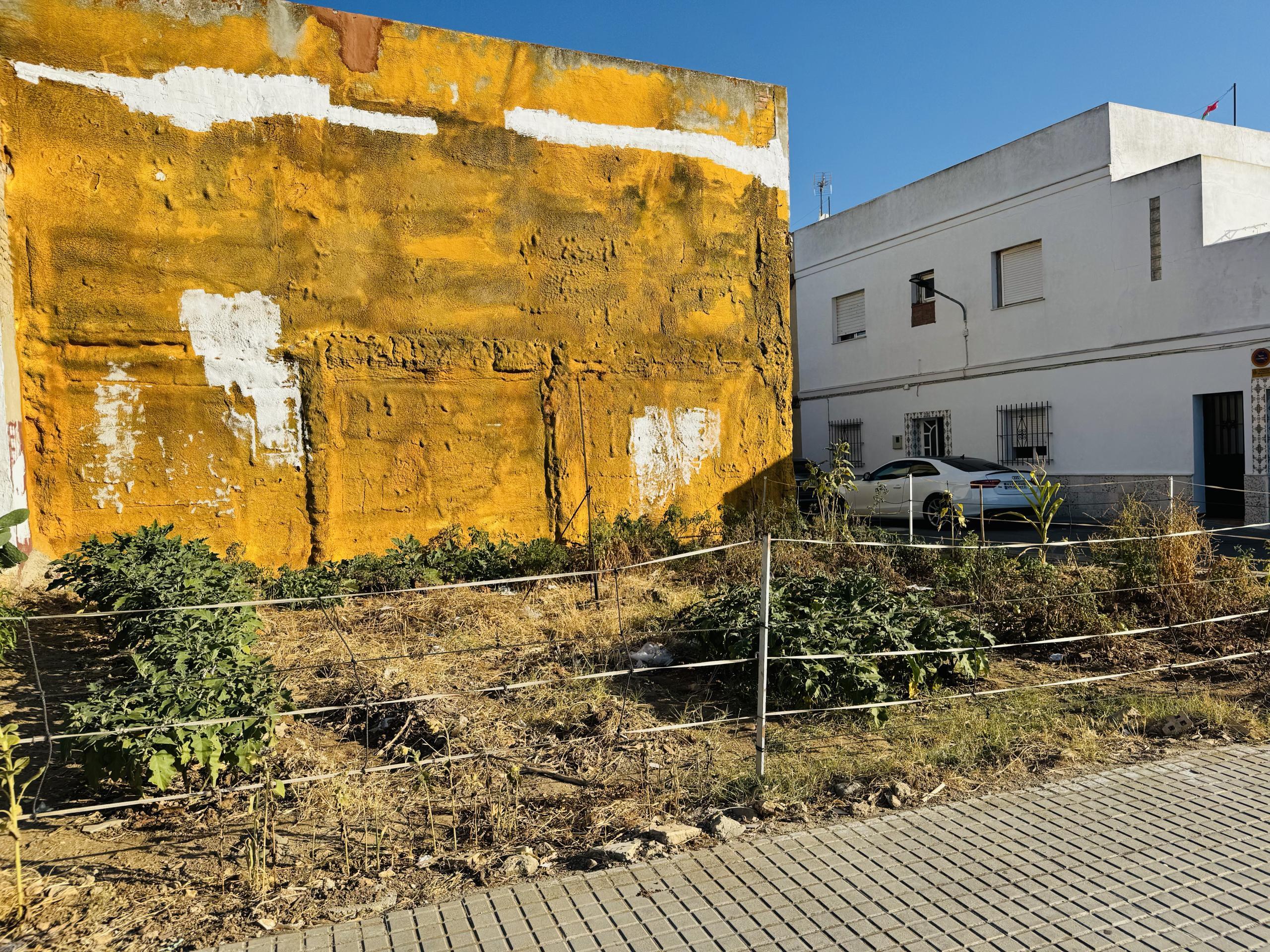 Fincas y solares-Venta-Chiclana de la Frontera-2044380-Foto-6