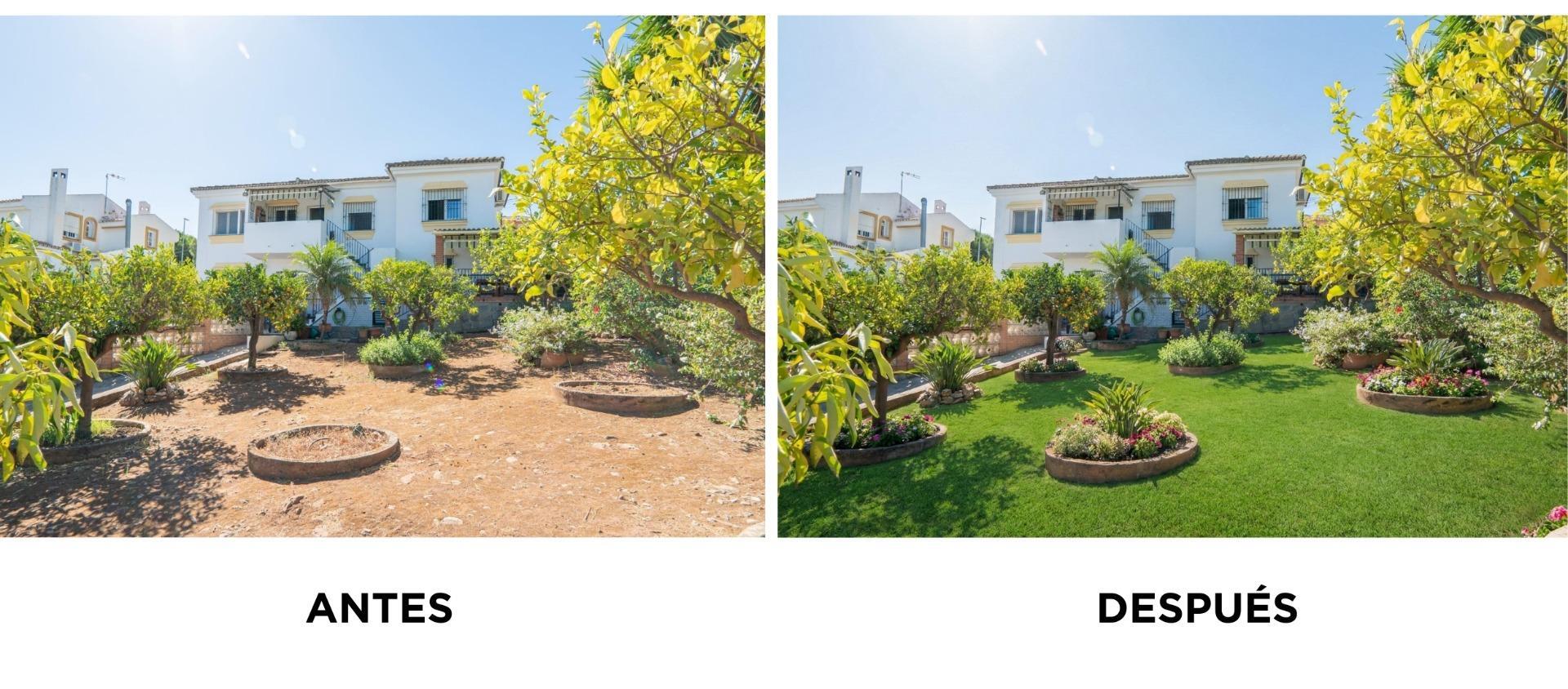 Casas o chalets-Venta-AlhaurÃ­n de la Torre-2415140-Foto-53