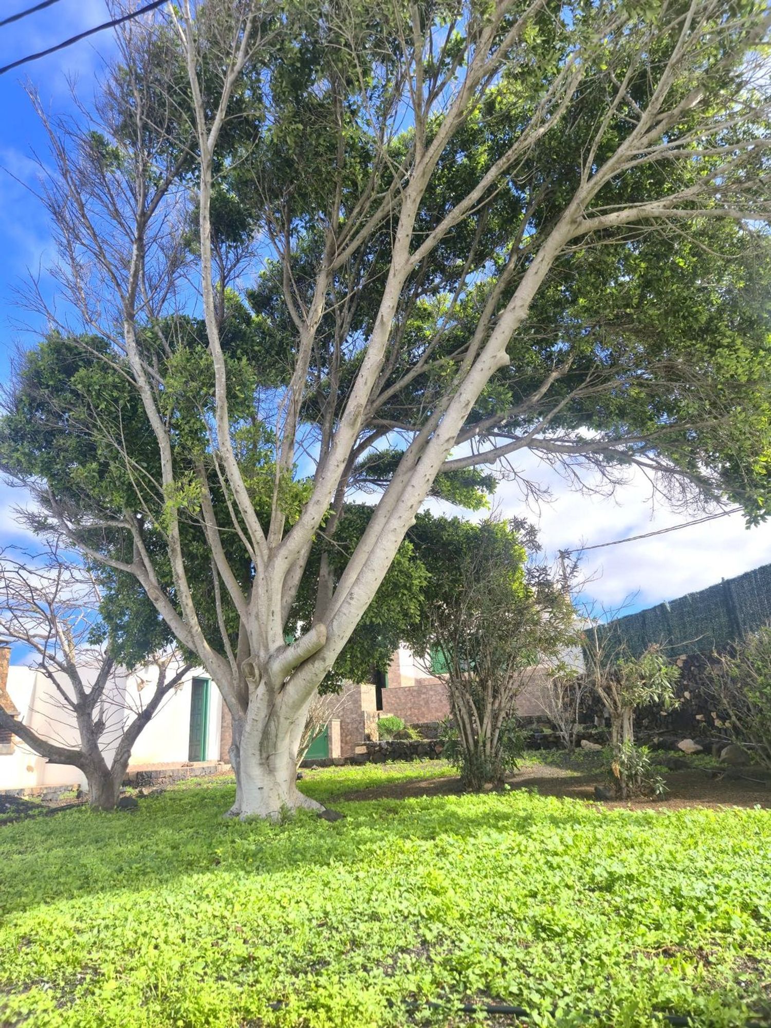 Chalet individual en venta, La Oliva, Las Palmas