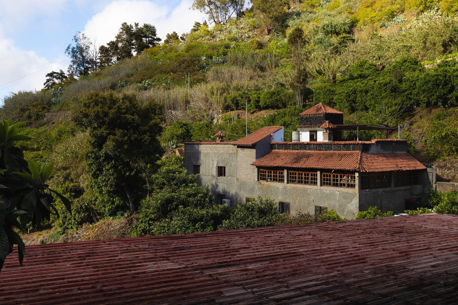 Casas o chalets-Venta-Firgas-1103202-Foto-5