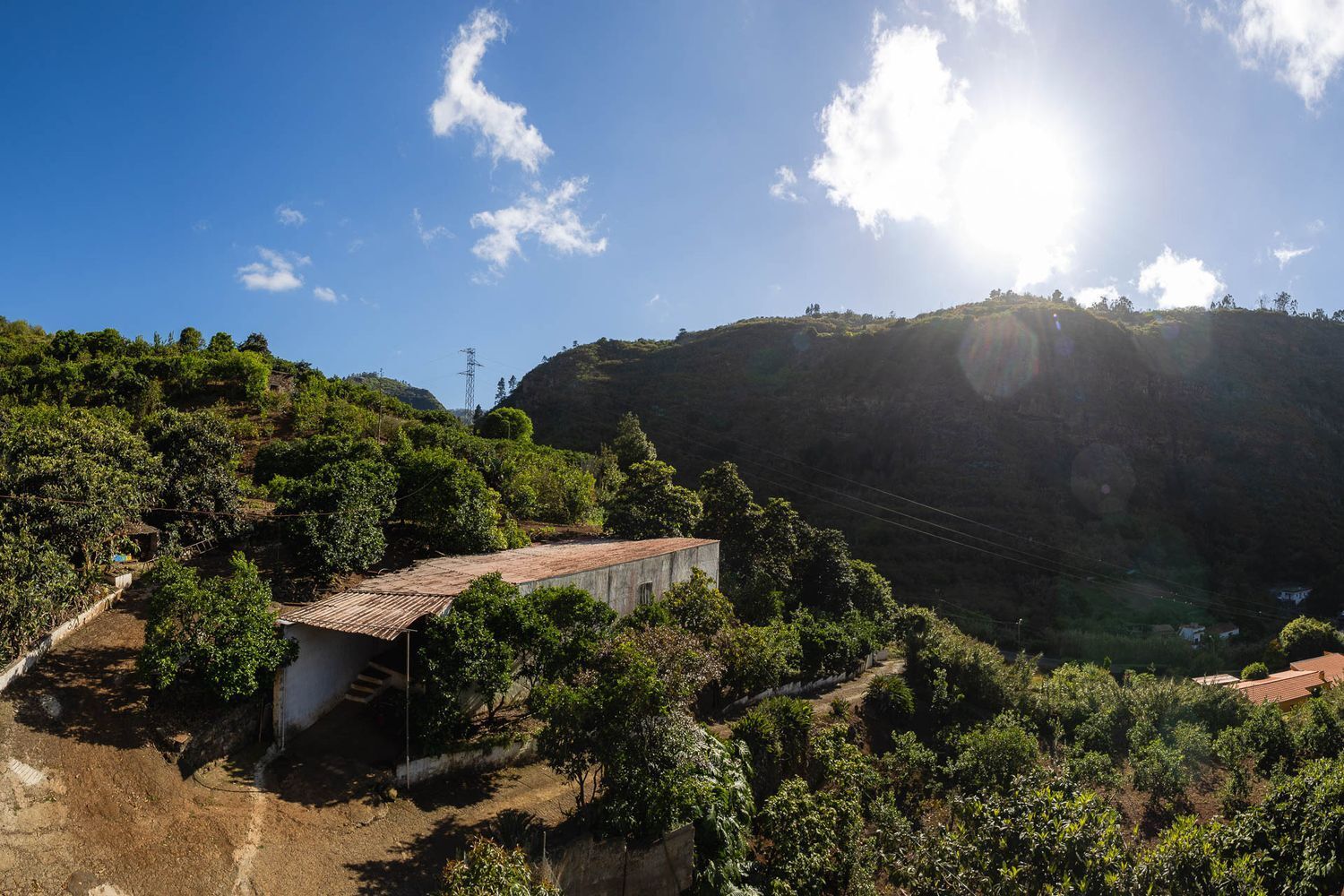 Casas o chalets-Venta-Firgas-1103202-Foto-28