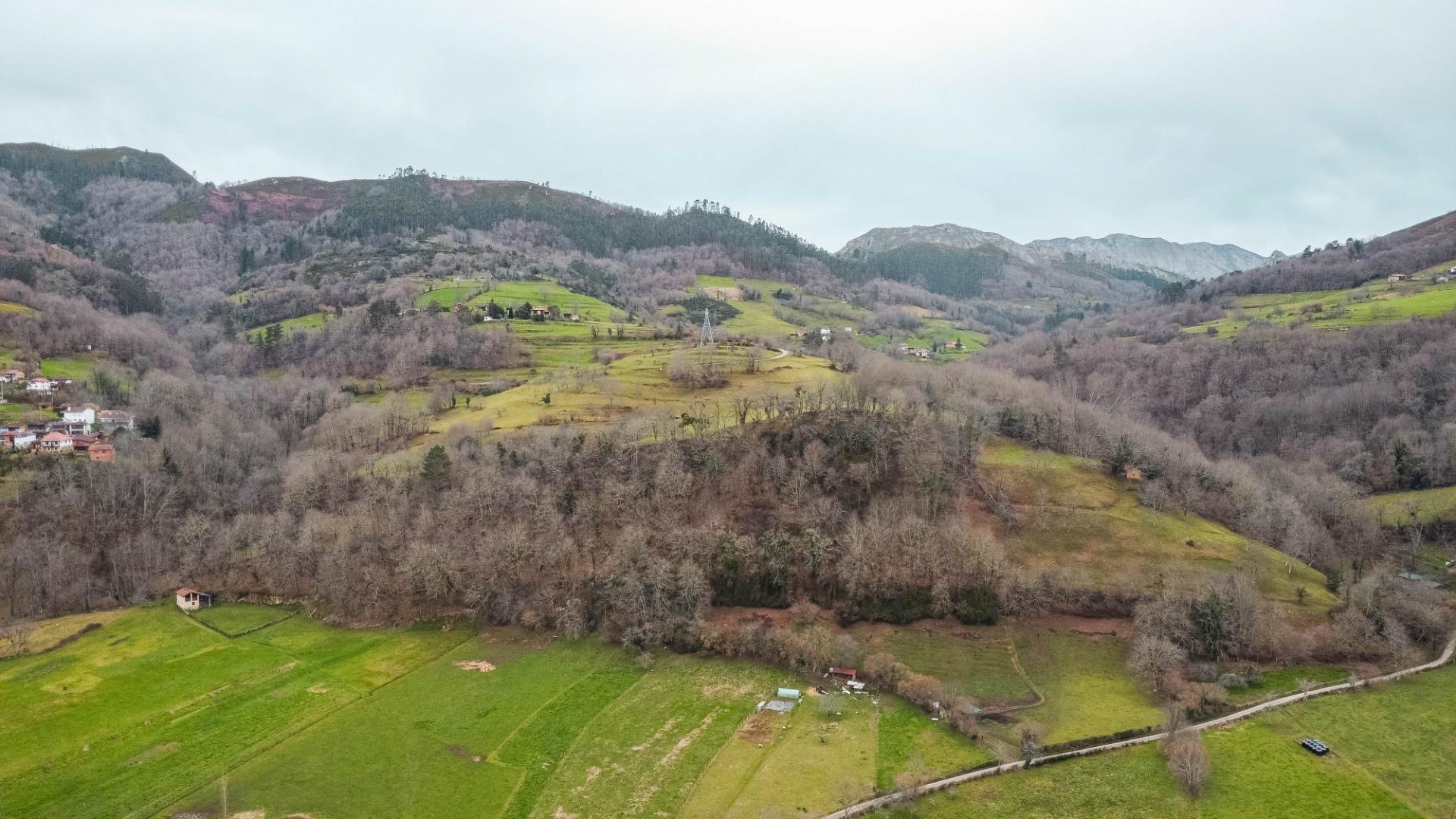 Casas o chalets-Venta-Cangas de OnÃ­s-2089836-Foto-21