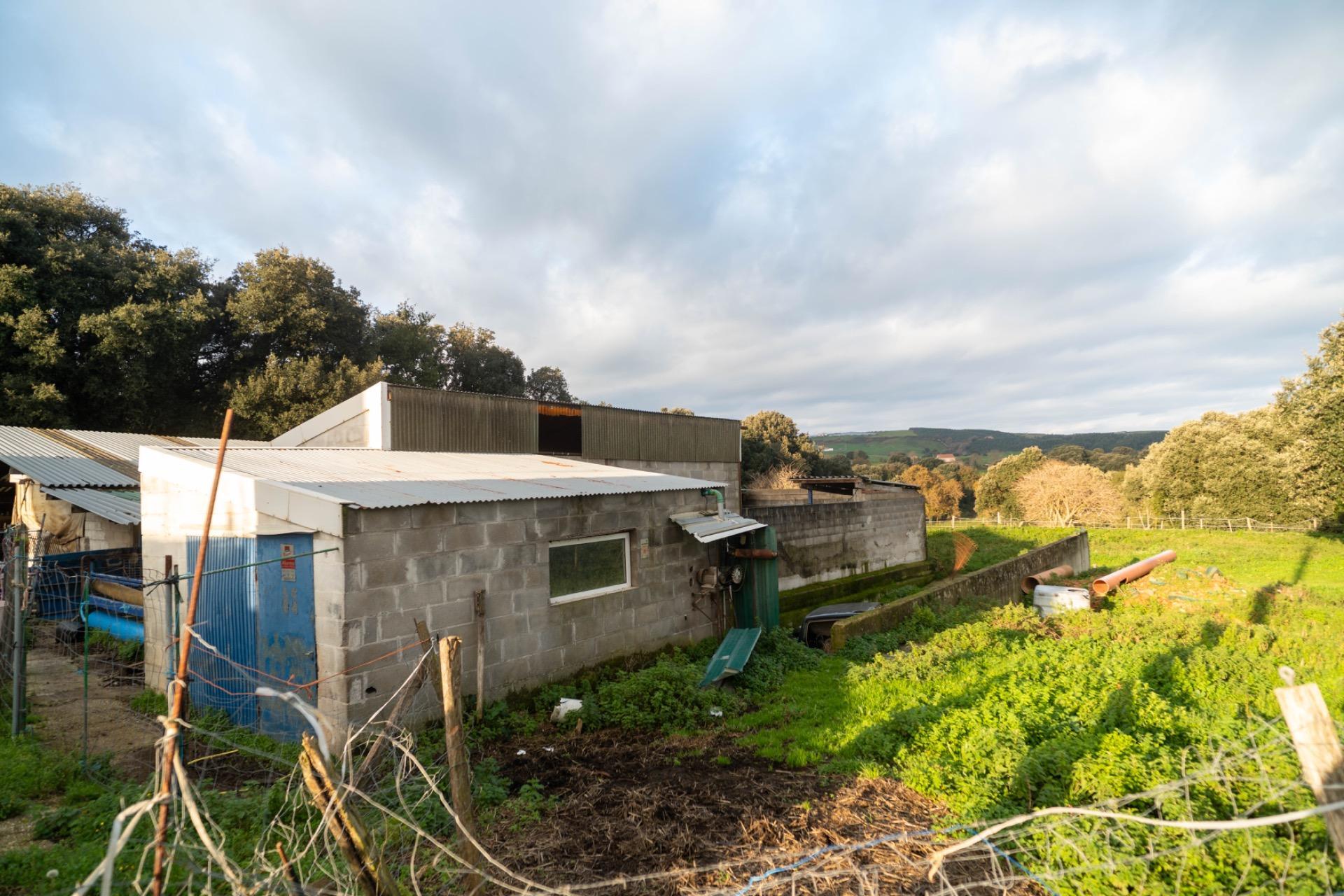 Casas o chalets-Venta-Bareyo-2089877-Foto-12
