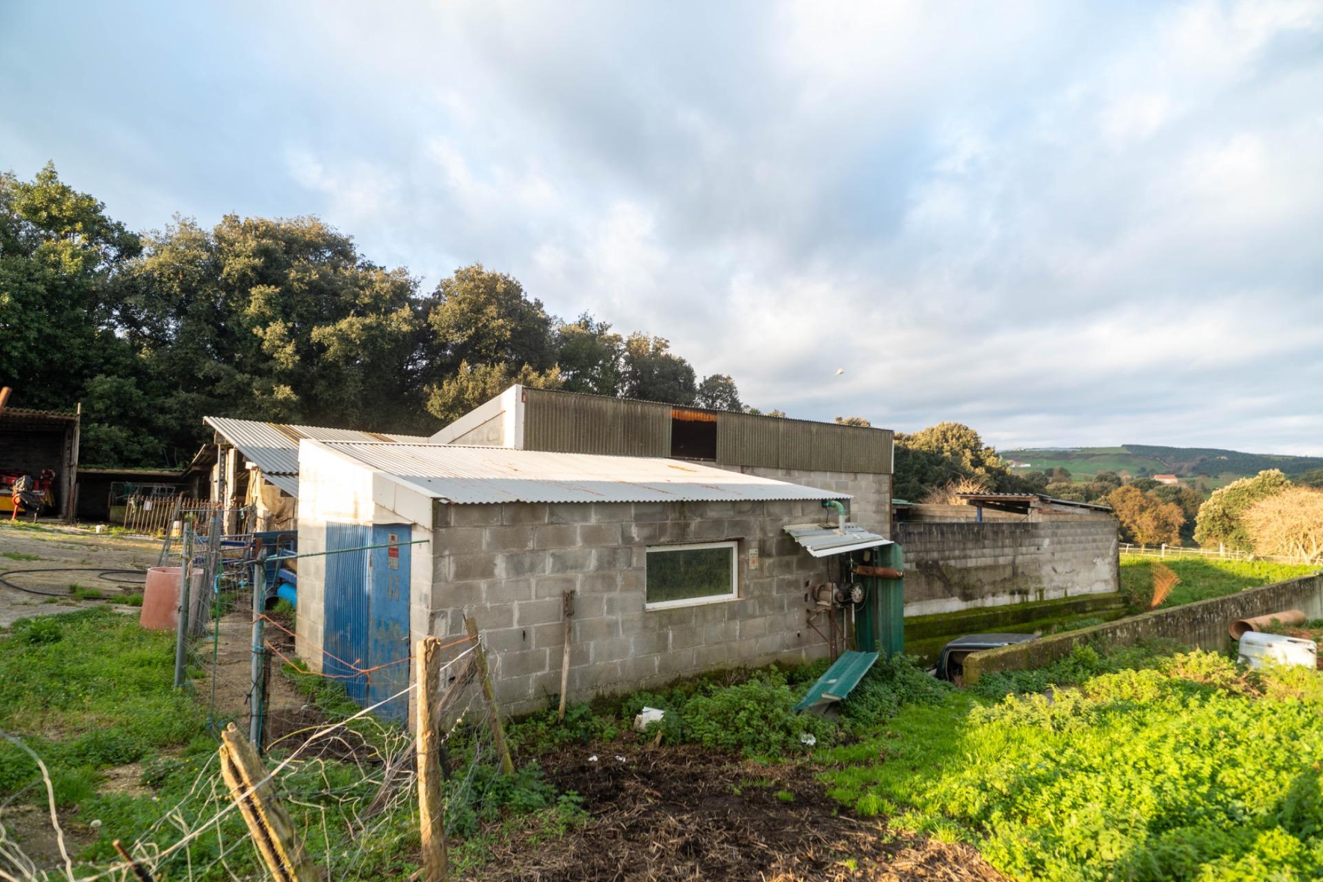 Casas o chalets-Venta-Bareyo-2089877-Foto-13