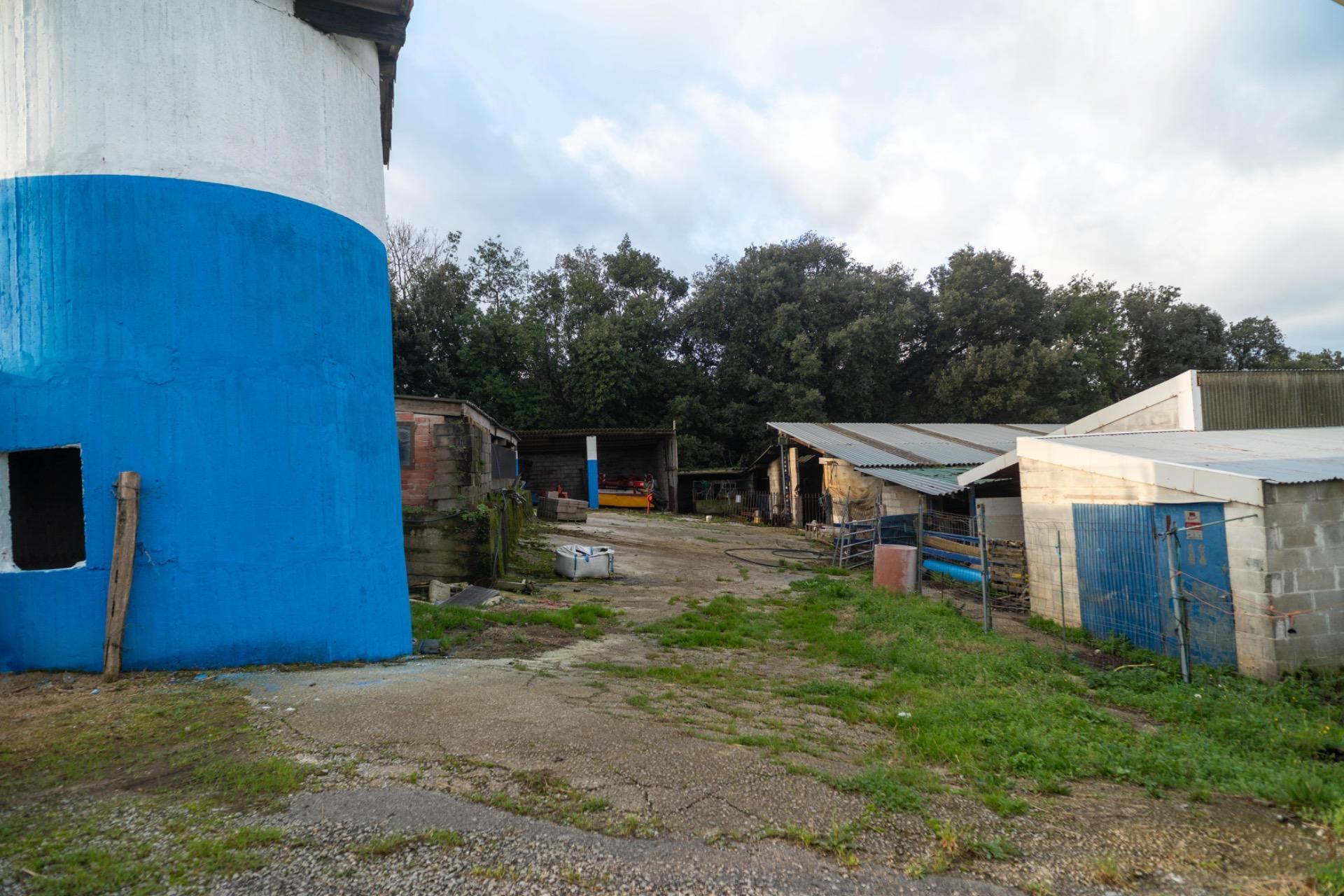 Casas o chalets-Venta-Bareyo-2089877-Foto-18