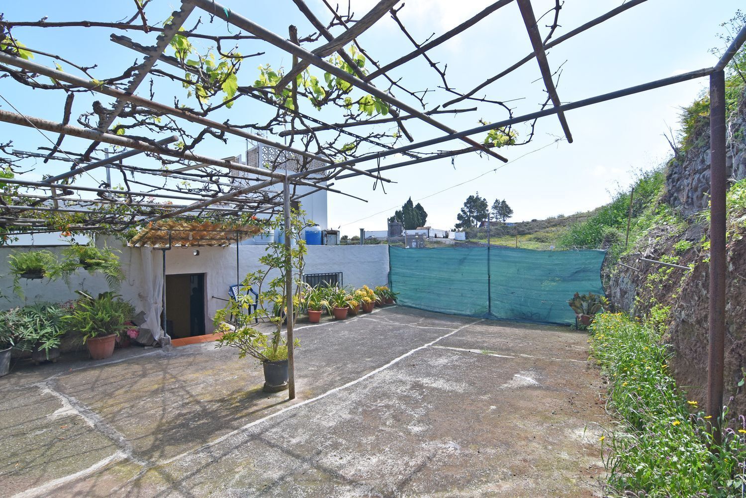 Casas o chalets-Venta-Firgas-1710404-Foto-61