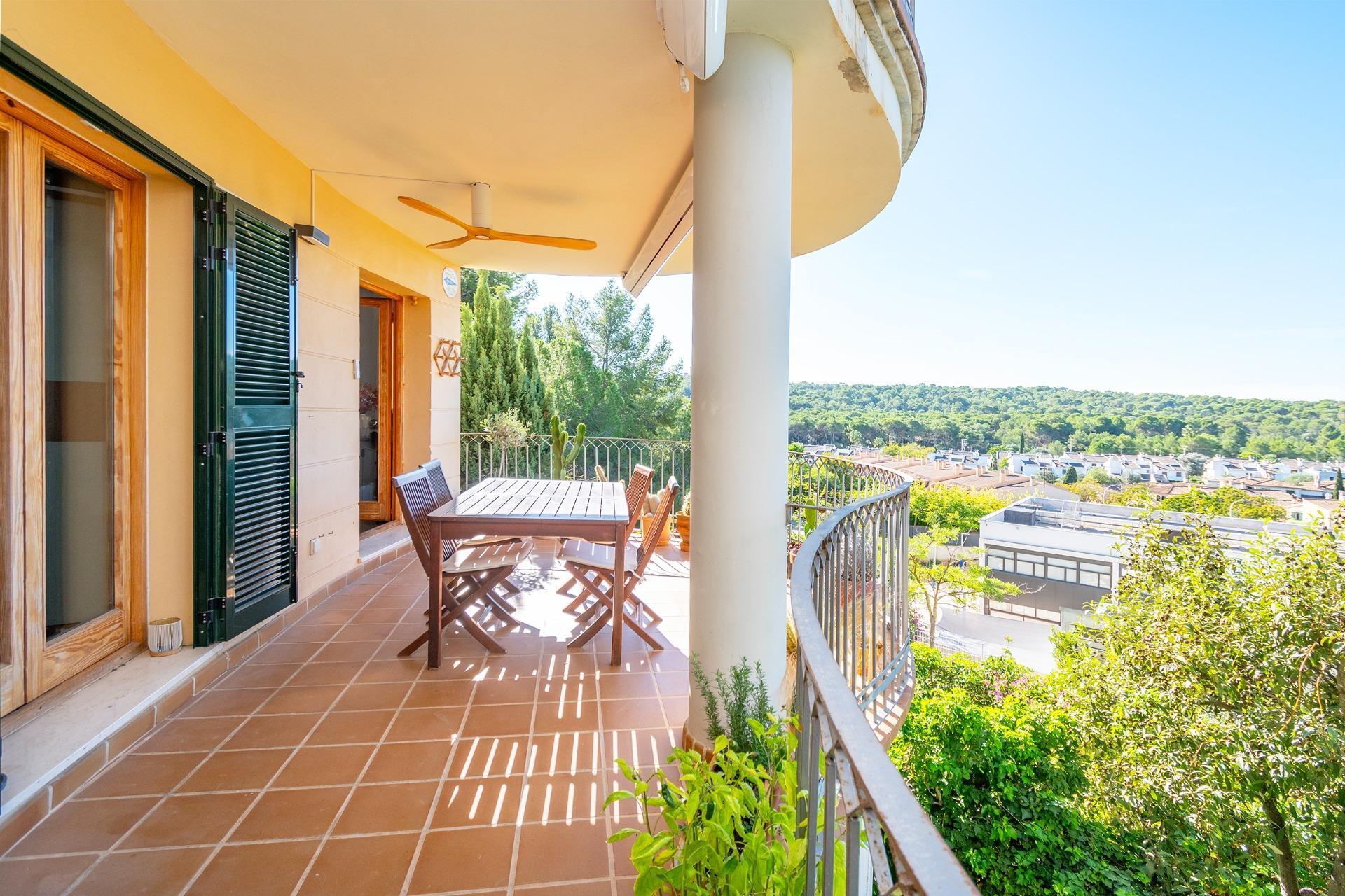 Pisos-Venta-Palma de Mallorca-1905053-Foto-13