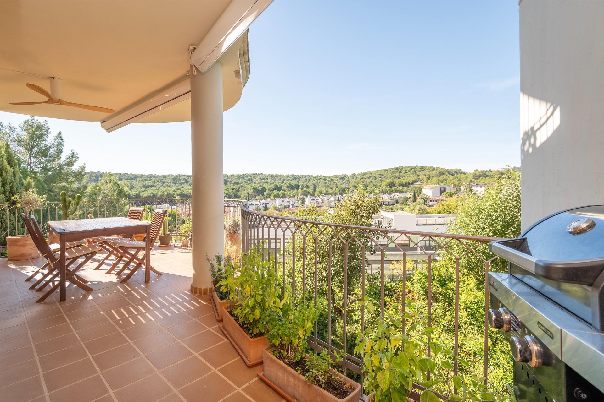 Pisos-Venta-Palma de Mallorca-1905053-Foto-18