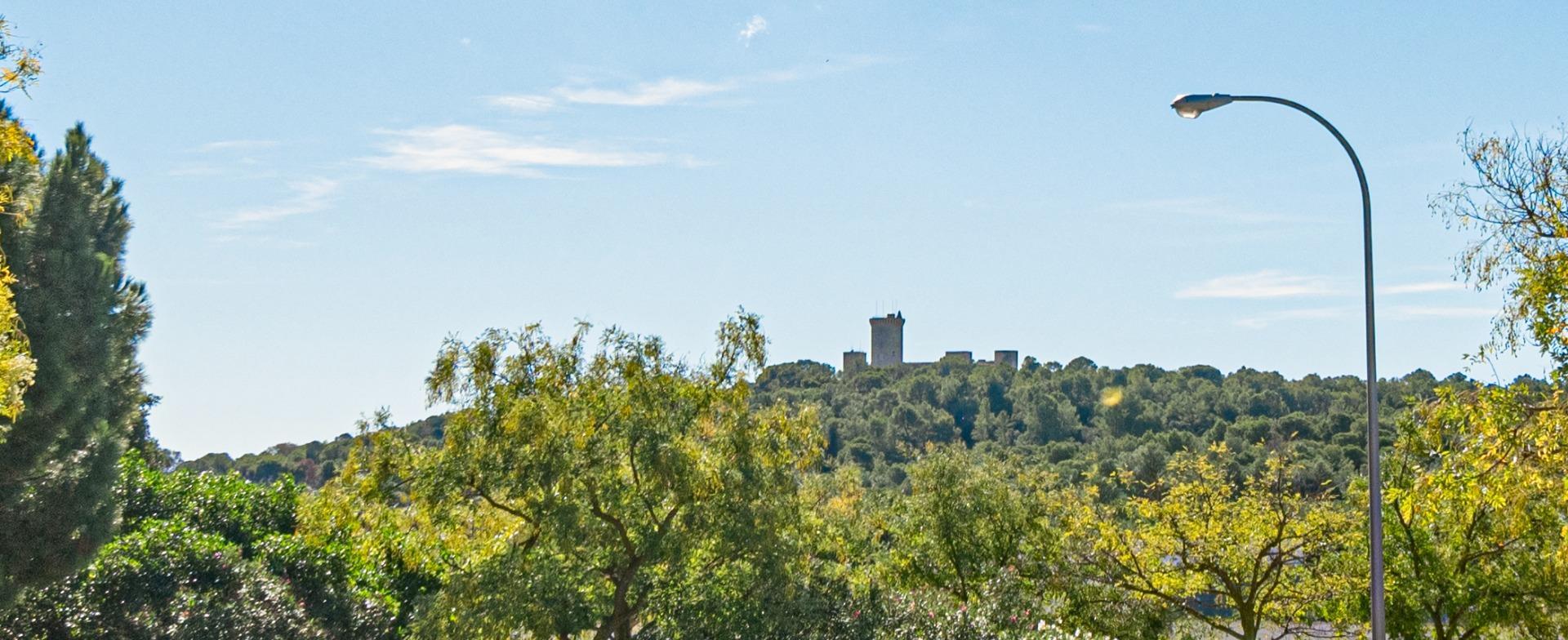 Pisos-Venta-Palma de Mallorca-1905053-Foto-28