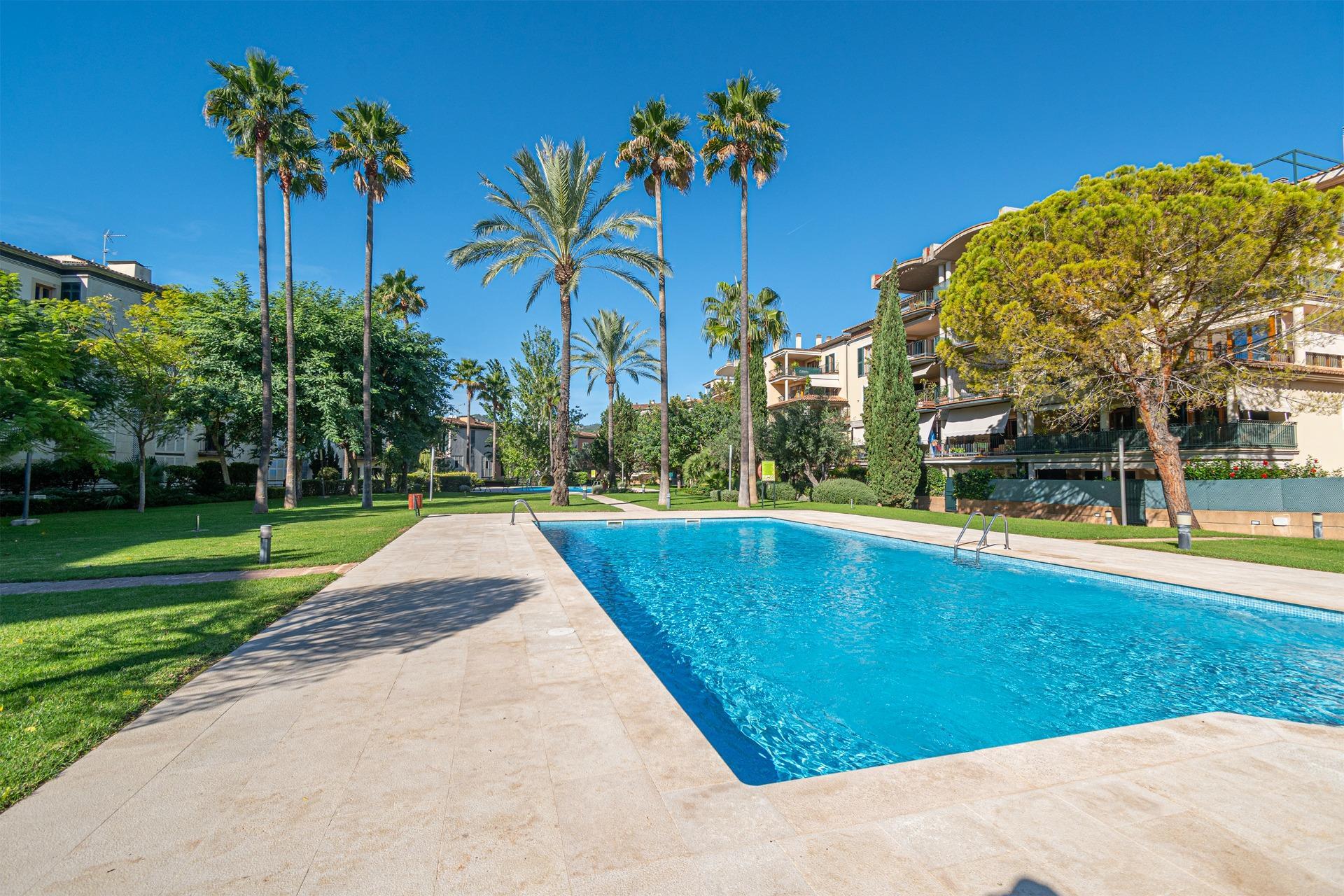 Pisos-Venta-Palma de Mallorca-1905053-Foto-43