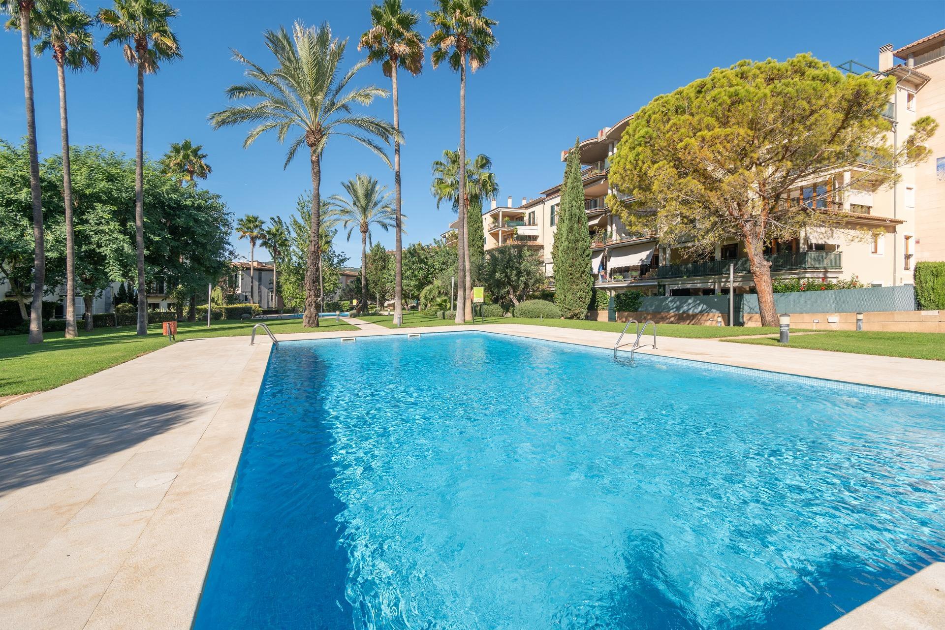 Pisos-Venta-Palma de Mallorca-1905053-Foto-45