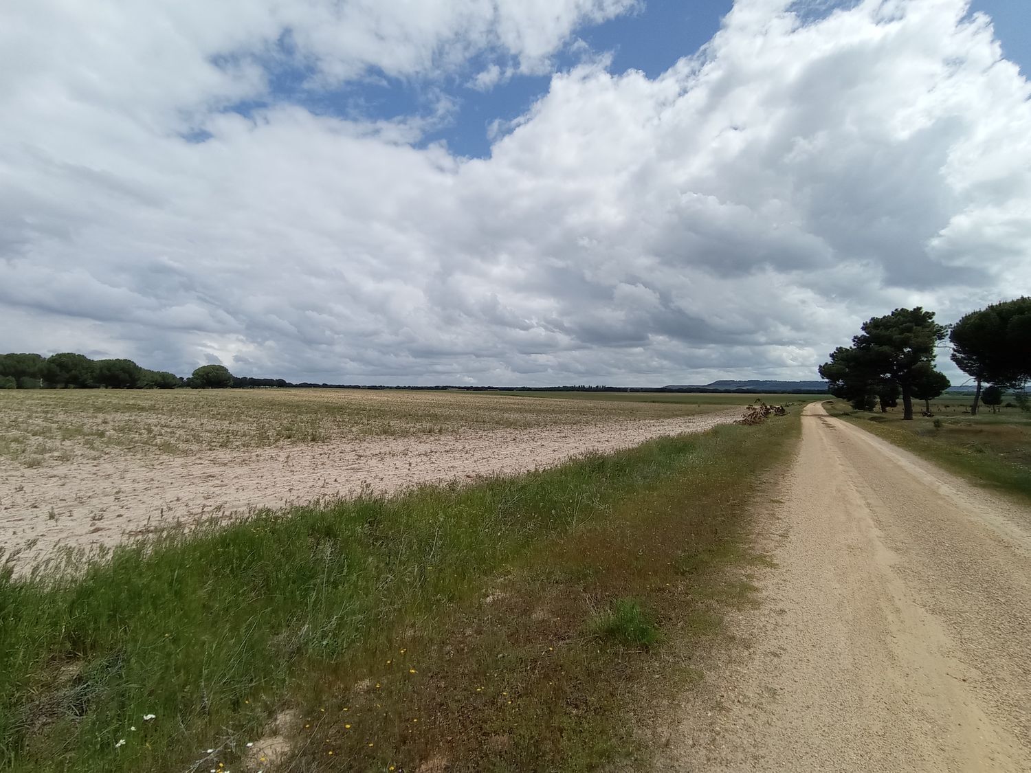 Fincas y solares-Venta-Matapozuelos-1743373-Foto-8