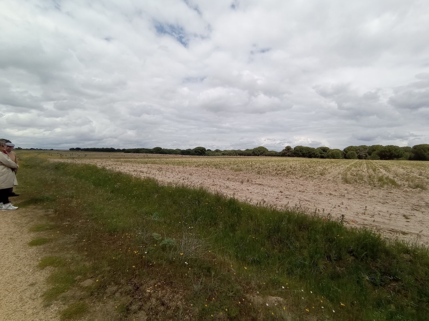 Fincas y solares-Venta-Matapozuelos-1743373-Foto-9