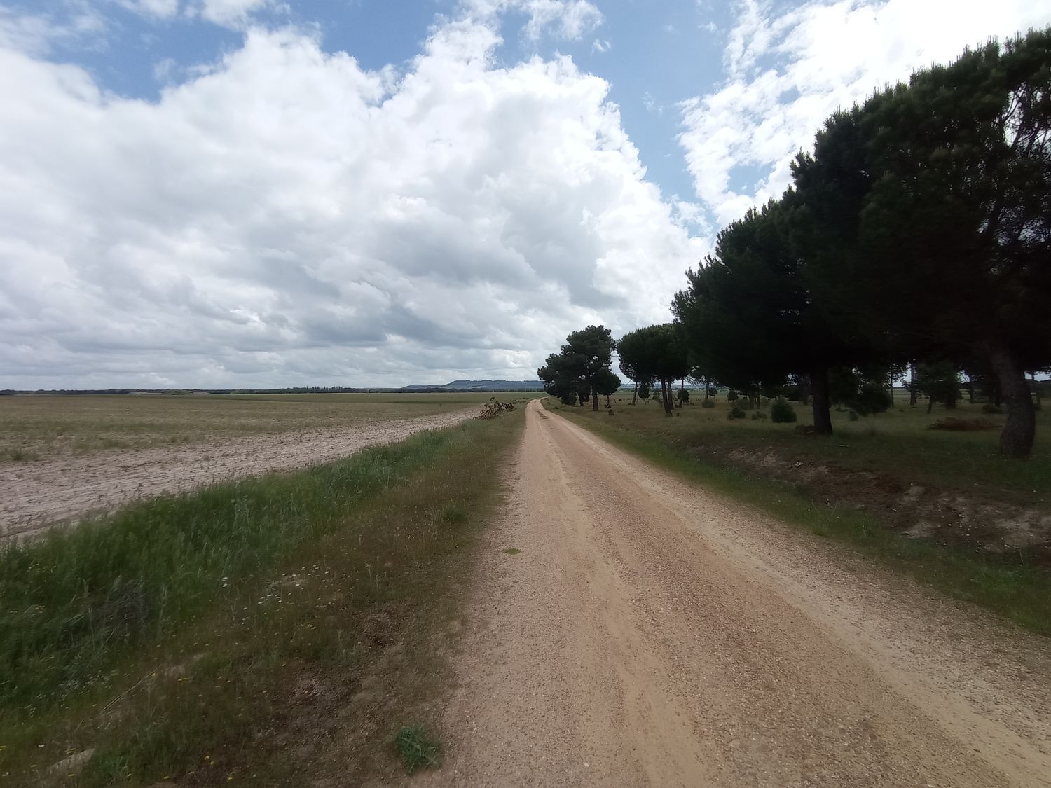 Fincas y solares-Venta-Matapozuelos-1743373-Foto-10