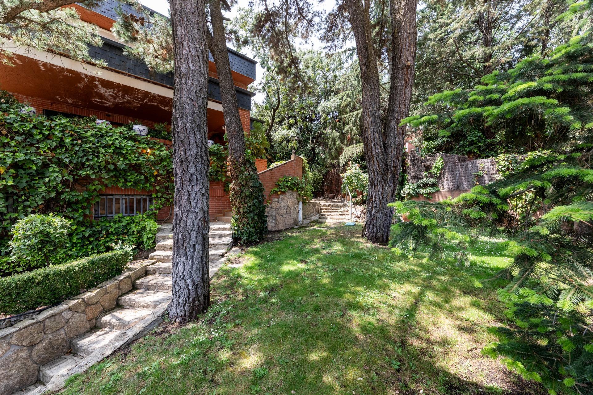 Casas o chalets-Venta-Galapagar-2035788-Foto-39