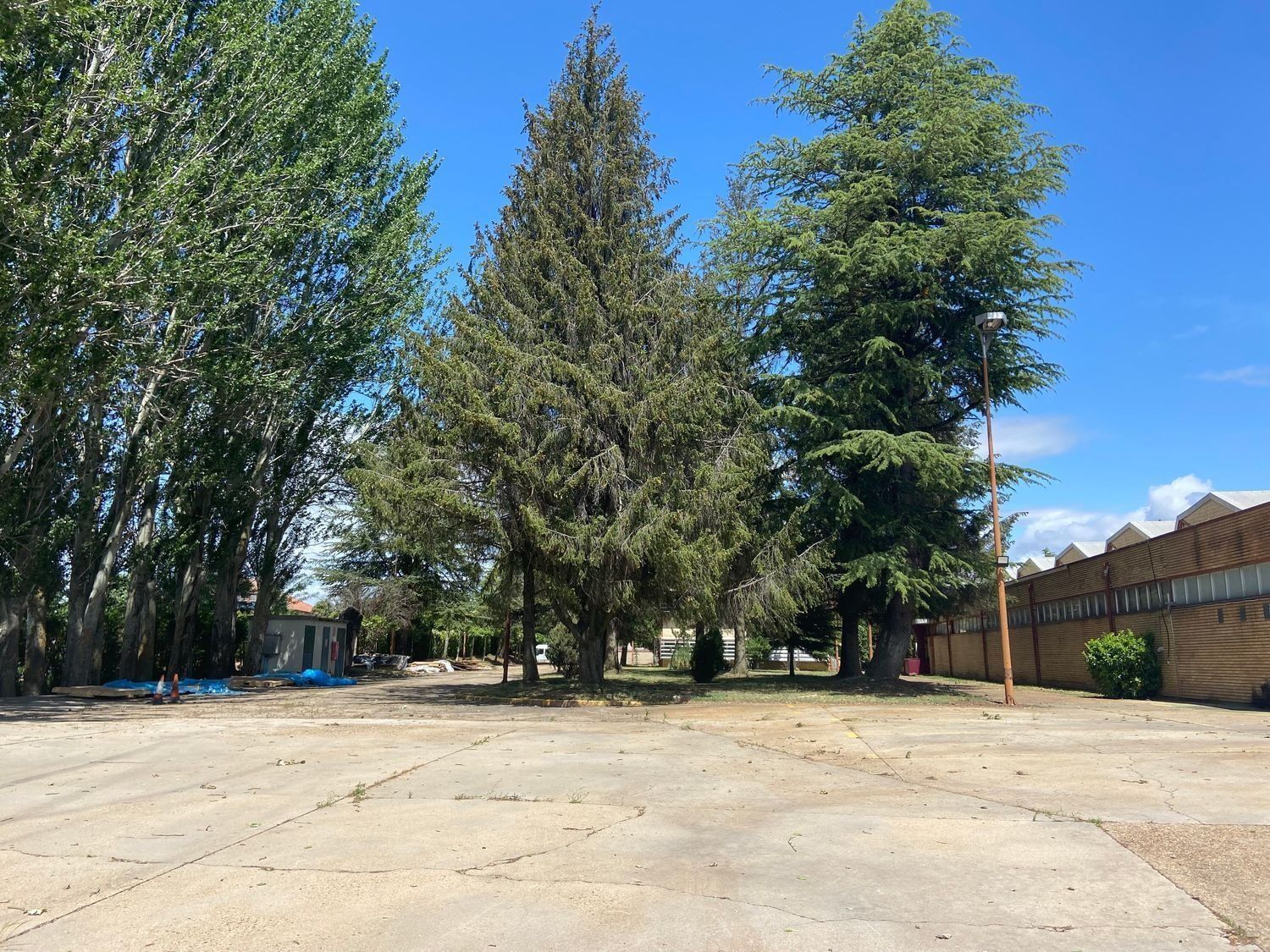 Fincas y solares-Venta-Sils-1995243-Foto-2