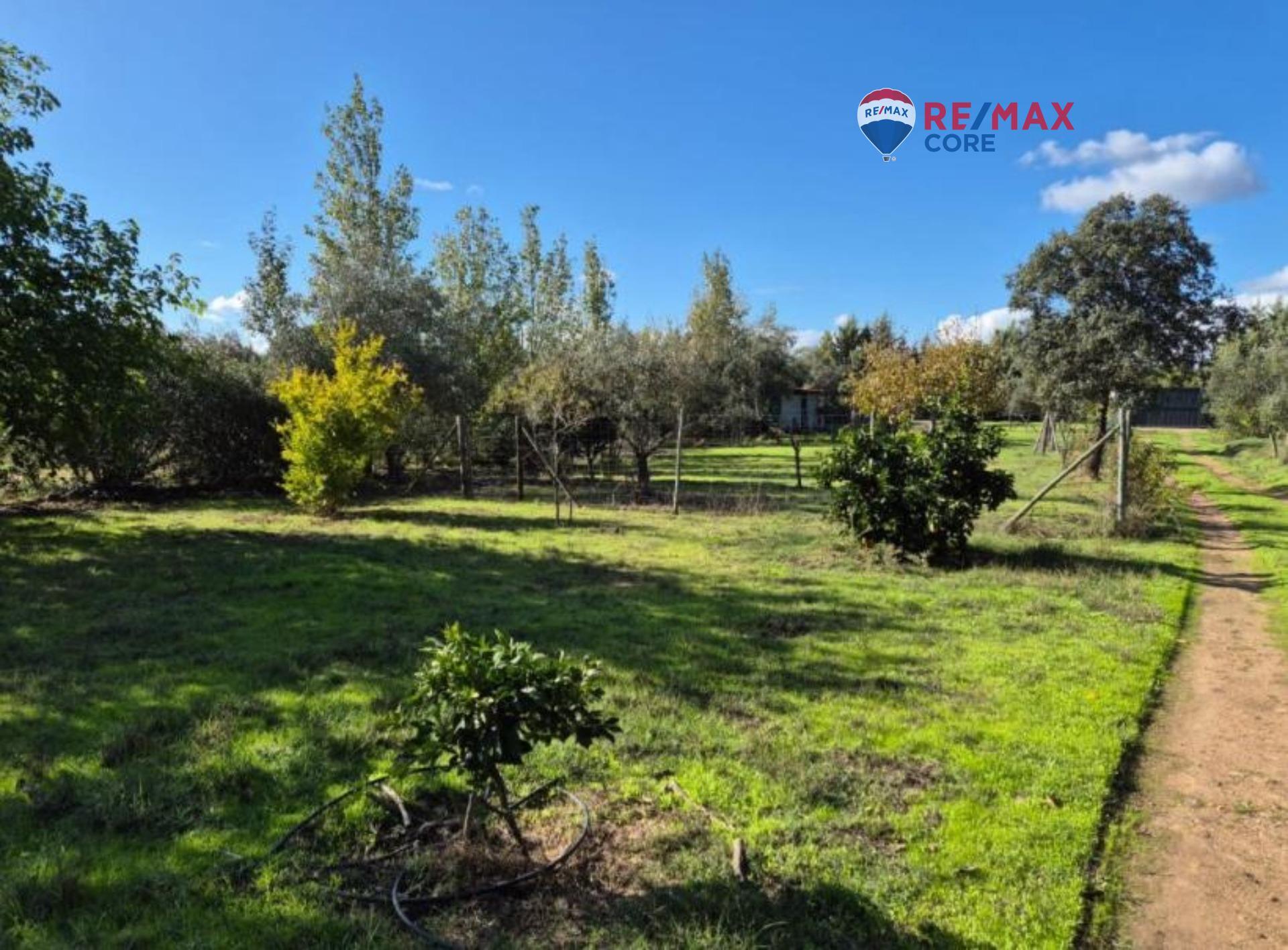 Rústico en venta, Río Caya