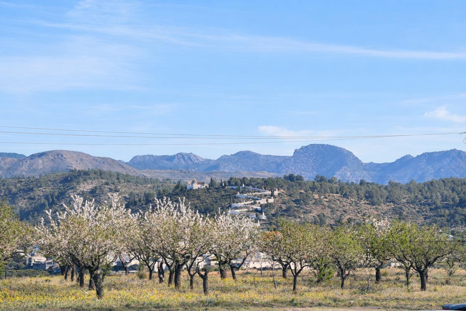 Casas o chalets-Venta-Sot de Ferrer-2115368-Foto-30