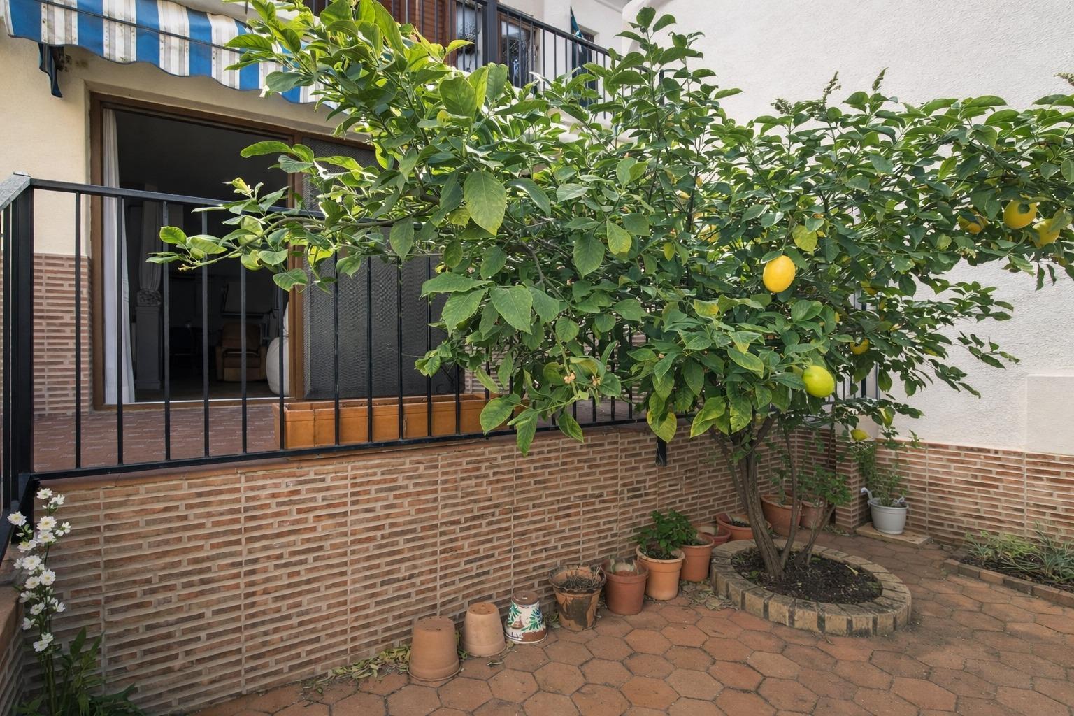 Casas o chalets-Venta-Sot de Ferrer-2115368-Foto-25