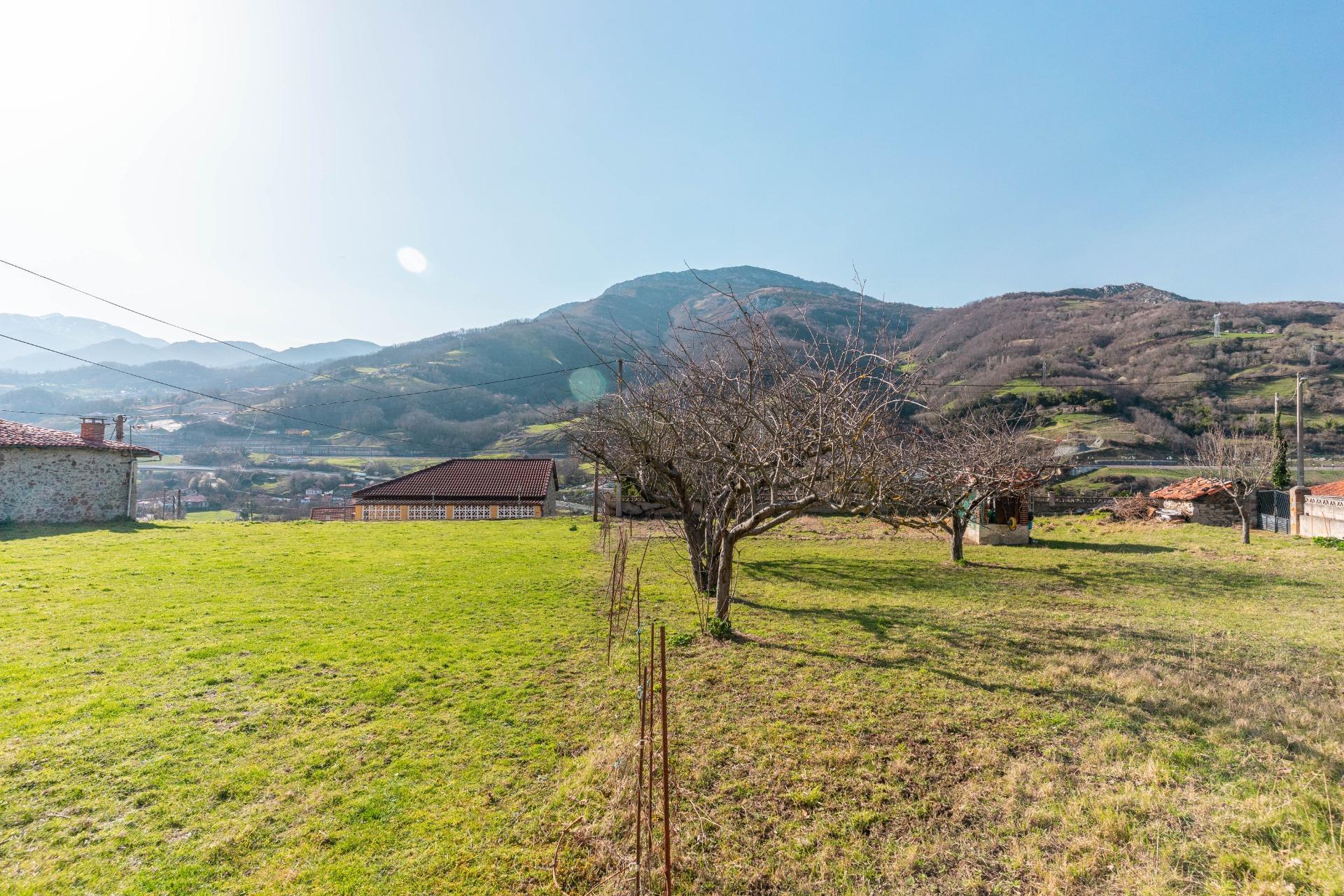 Casas o chalets-Venta-Villena-2151801-Foto-17