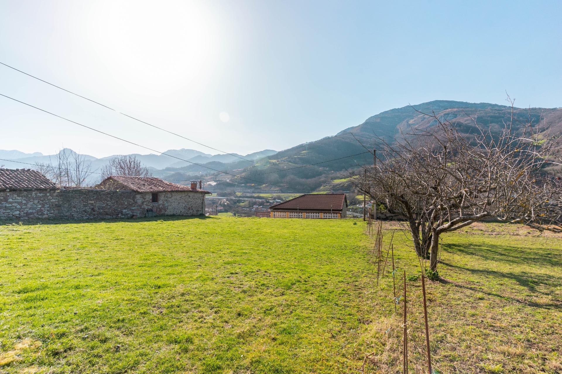 Casas o chalets-Venta-Villena-2151801-Foto-19