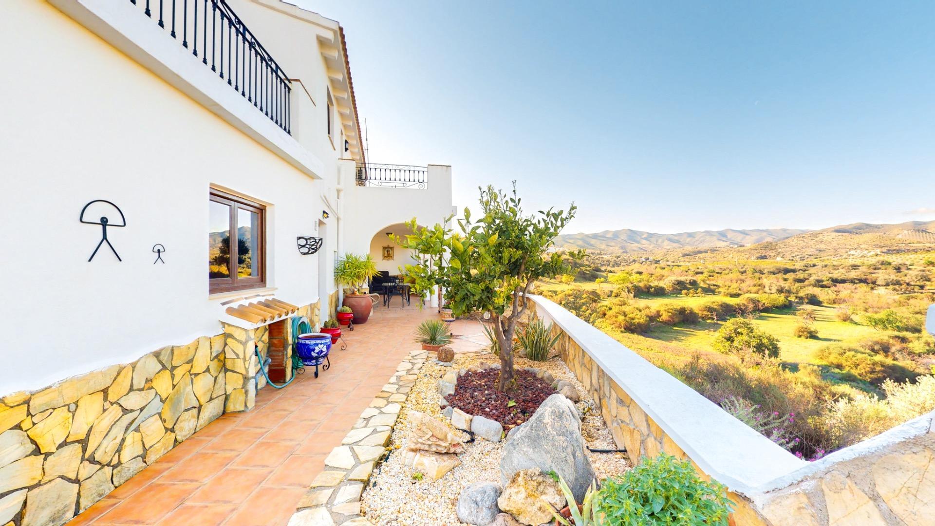 Casas o chalets-Venta-Arboleas-2411954-Foto-2