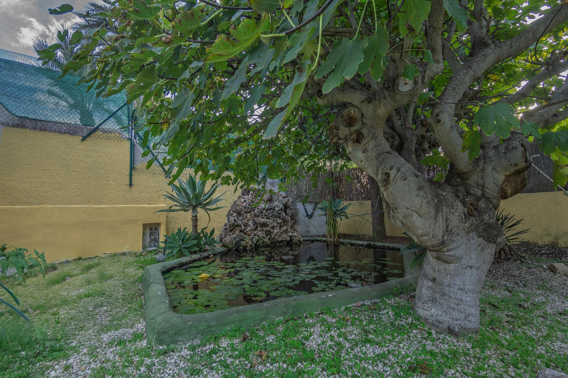 Casas o chalets-Venta-Benissa-1994570-Foto-51