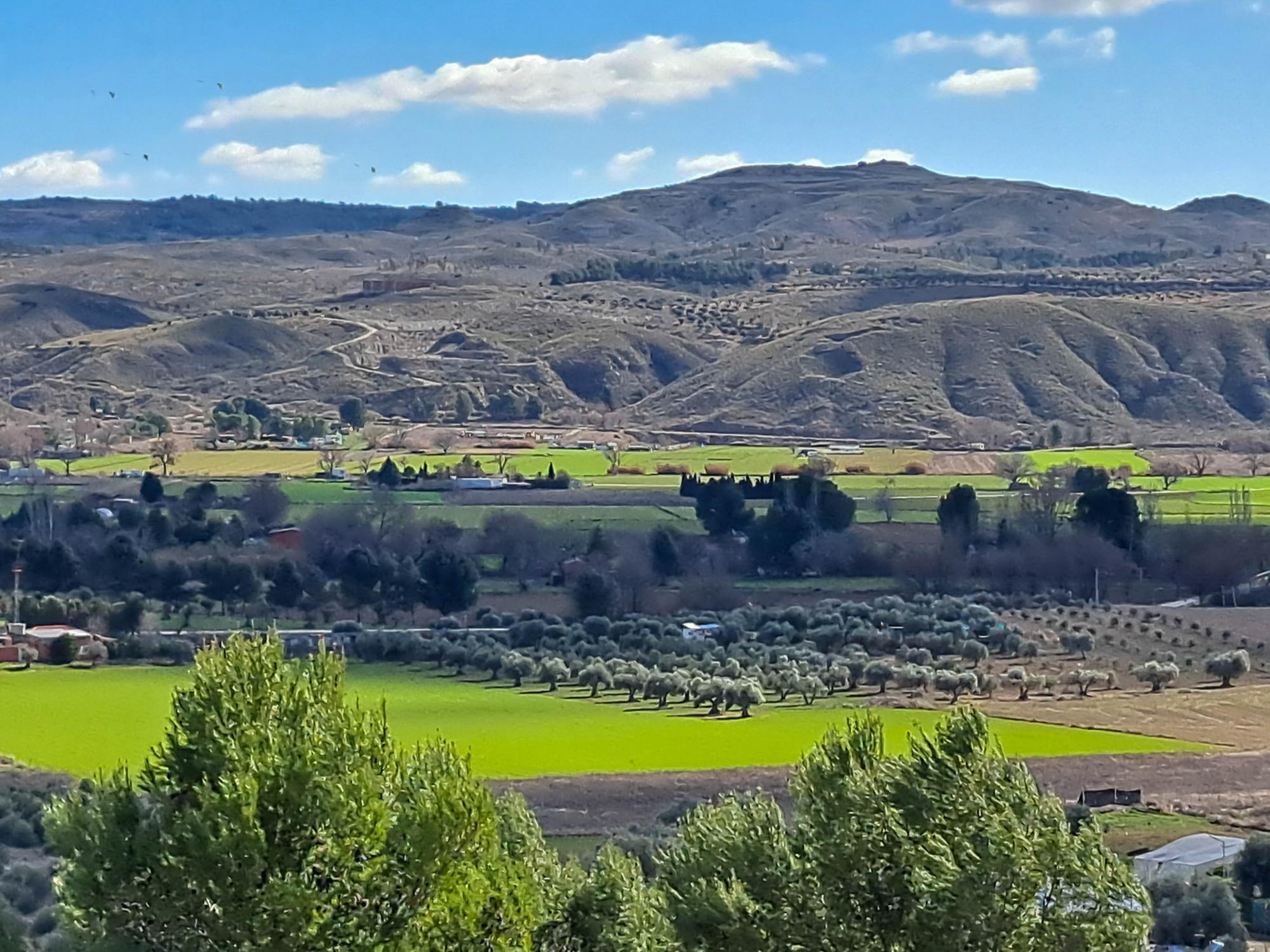 Casas o chalets-Venta-ChinchÃ³n-2173641-Foto-44
