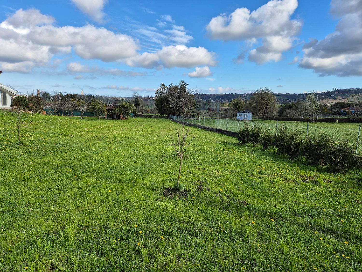 Fincas y solares-Venta-GijÃ³n-2153111-Foto-3