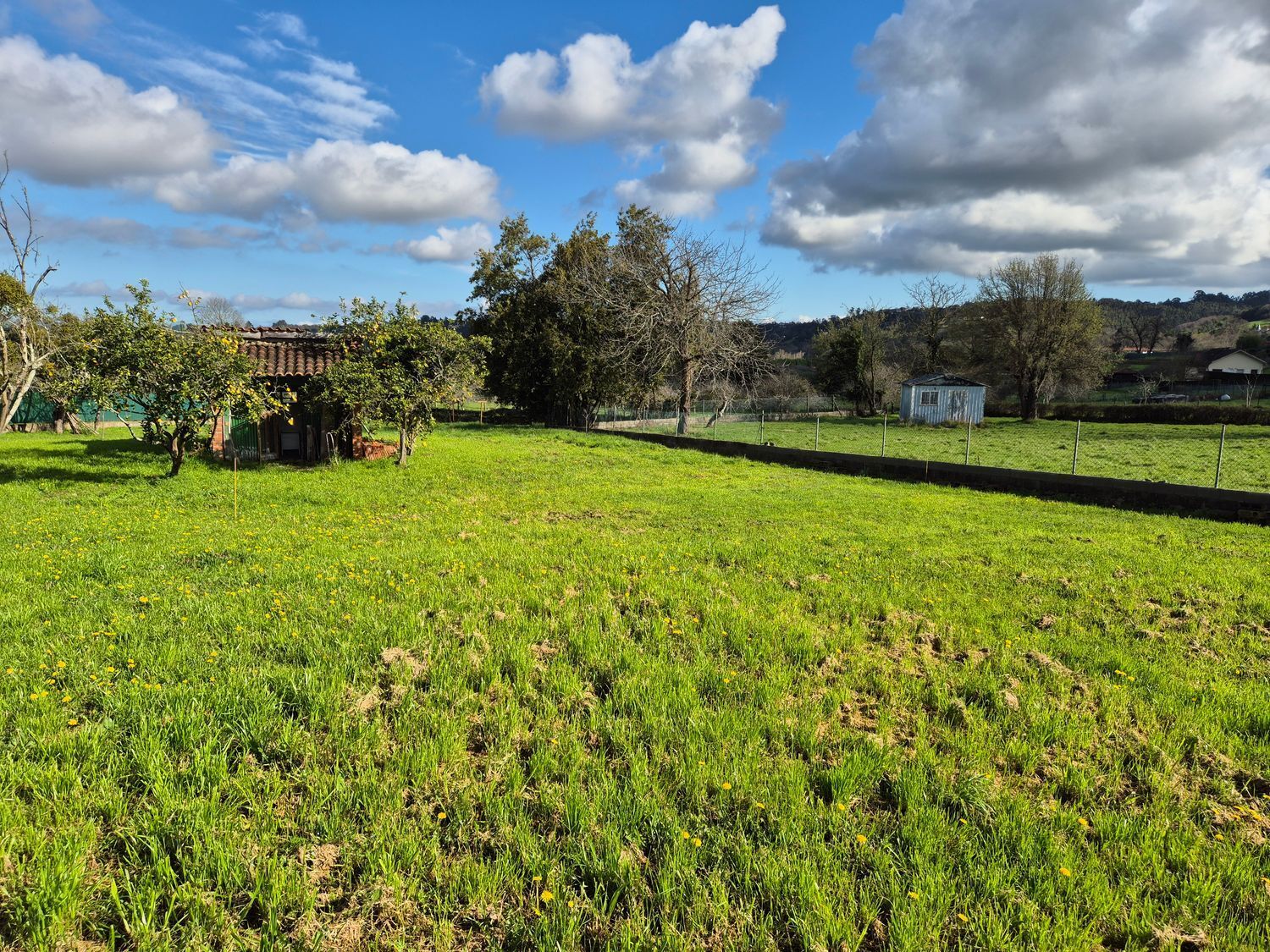 Fincas y solares-Venta-GijÃ³n-2153111-Foto-7