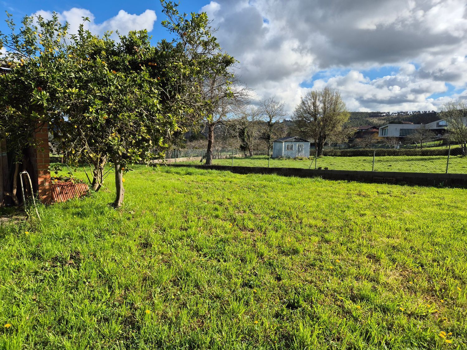 Fincas y solares-Venta-GijÃ³n-2153111-Foto-9
