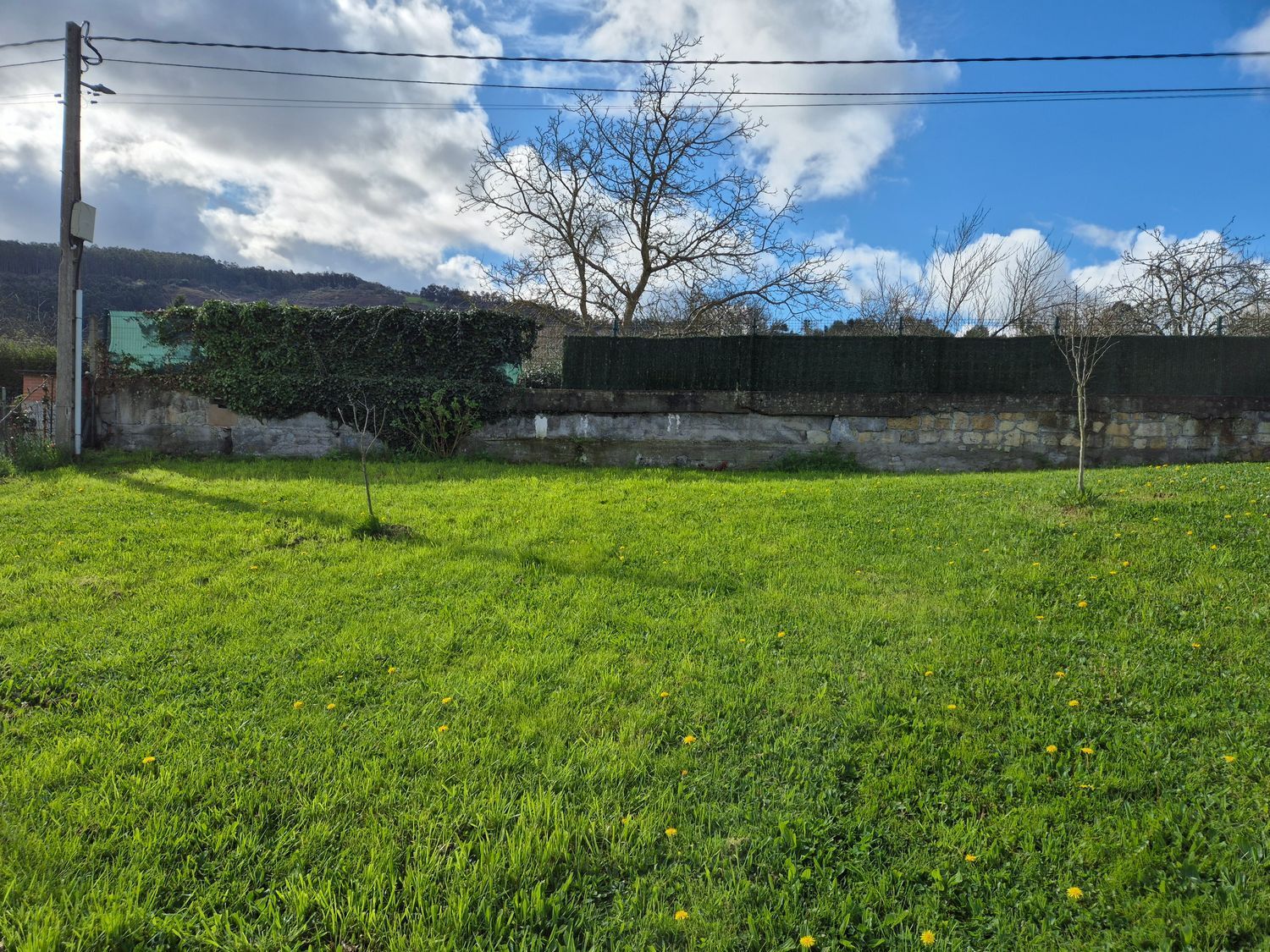 Fincas y solares-Venta-GijÃ³n-2153111-Foto-4