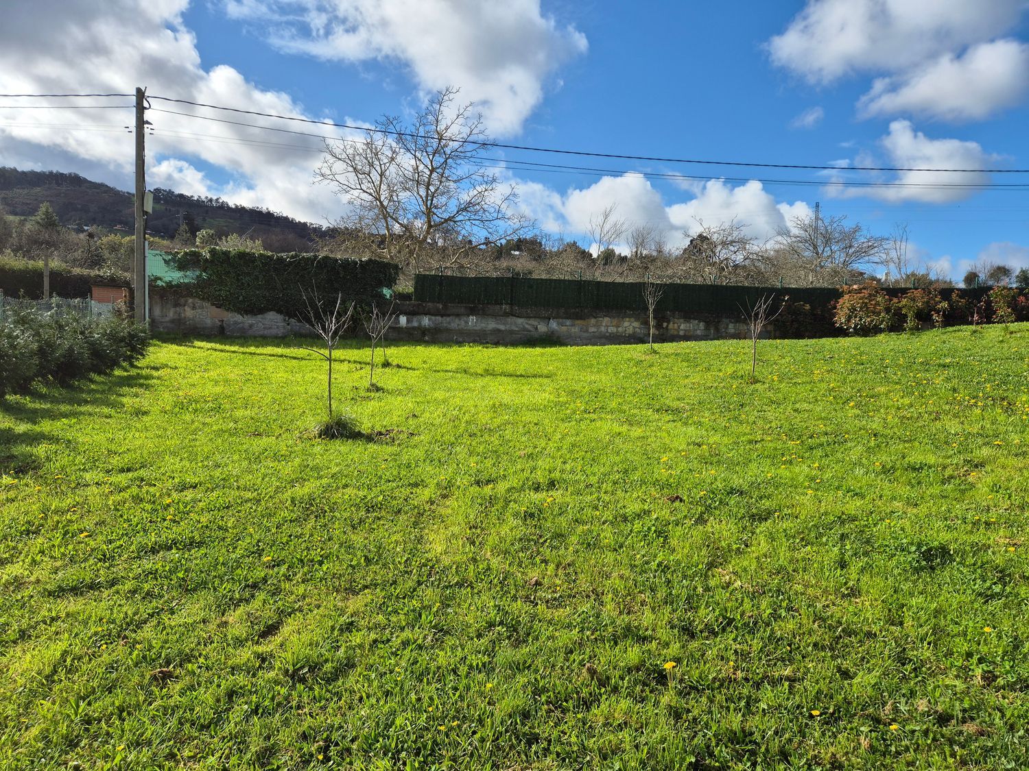 Fincas y solares-Venta-GijÃ³n-2153111-Foto-6